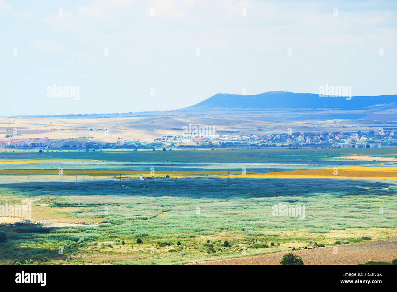 Meadow field bird's-eye view Banque D'Images
