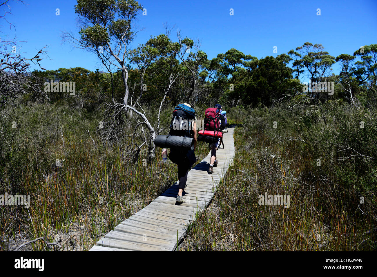 Les randonneurs randonnée à travers le parc national de Freycinet en Tasmanie. Banque D'Images