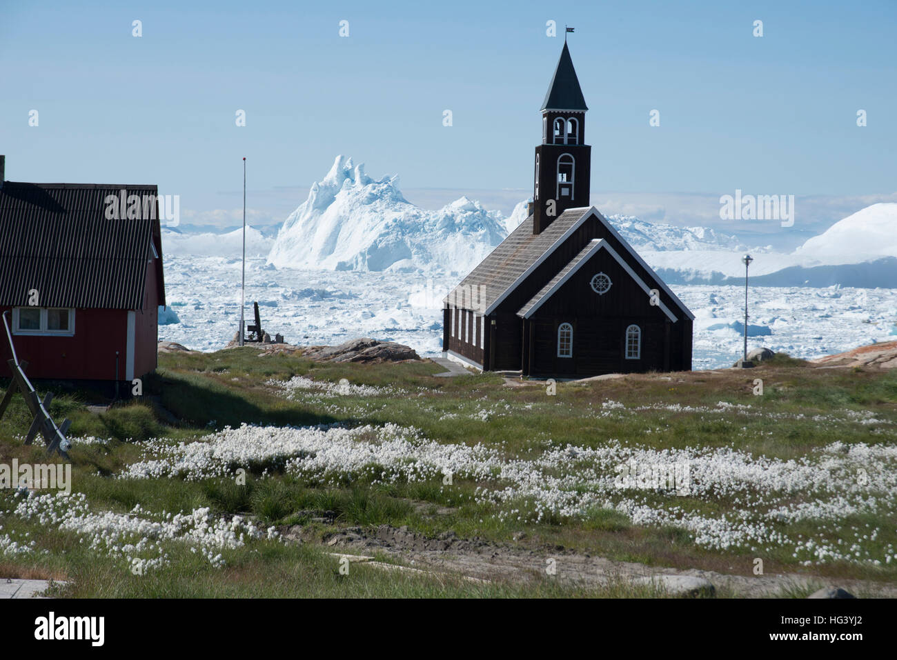 Linaigrette et l'église, Ilulissat, Groenland occidental. Banque D'Images