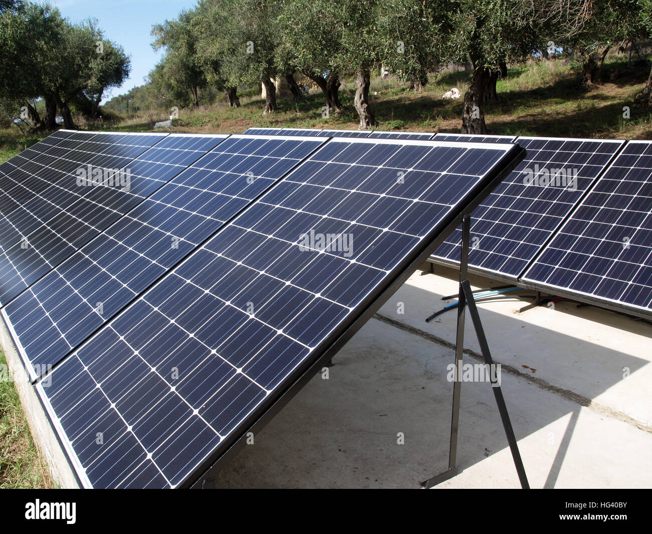 Banques centrales de panneaux solaires utilisés pour produire de l'électricité domestique dans oliveraie à Corfou Grèce Banque D'Images