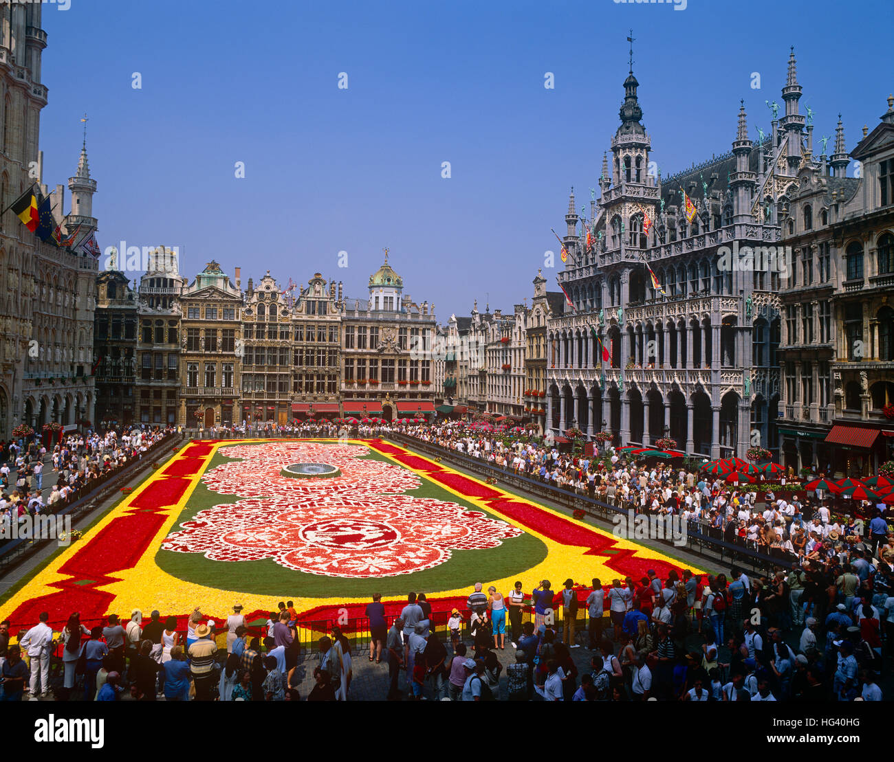 Tapis de fleurs à la Grand Place, Bruxelles, Belgique Banque D'Images