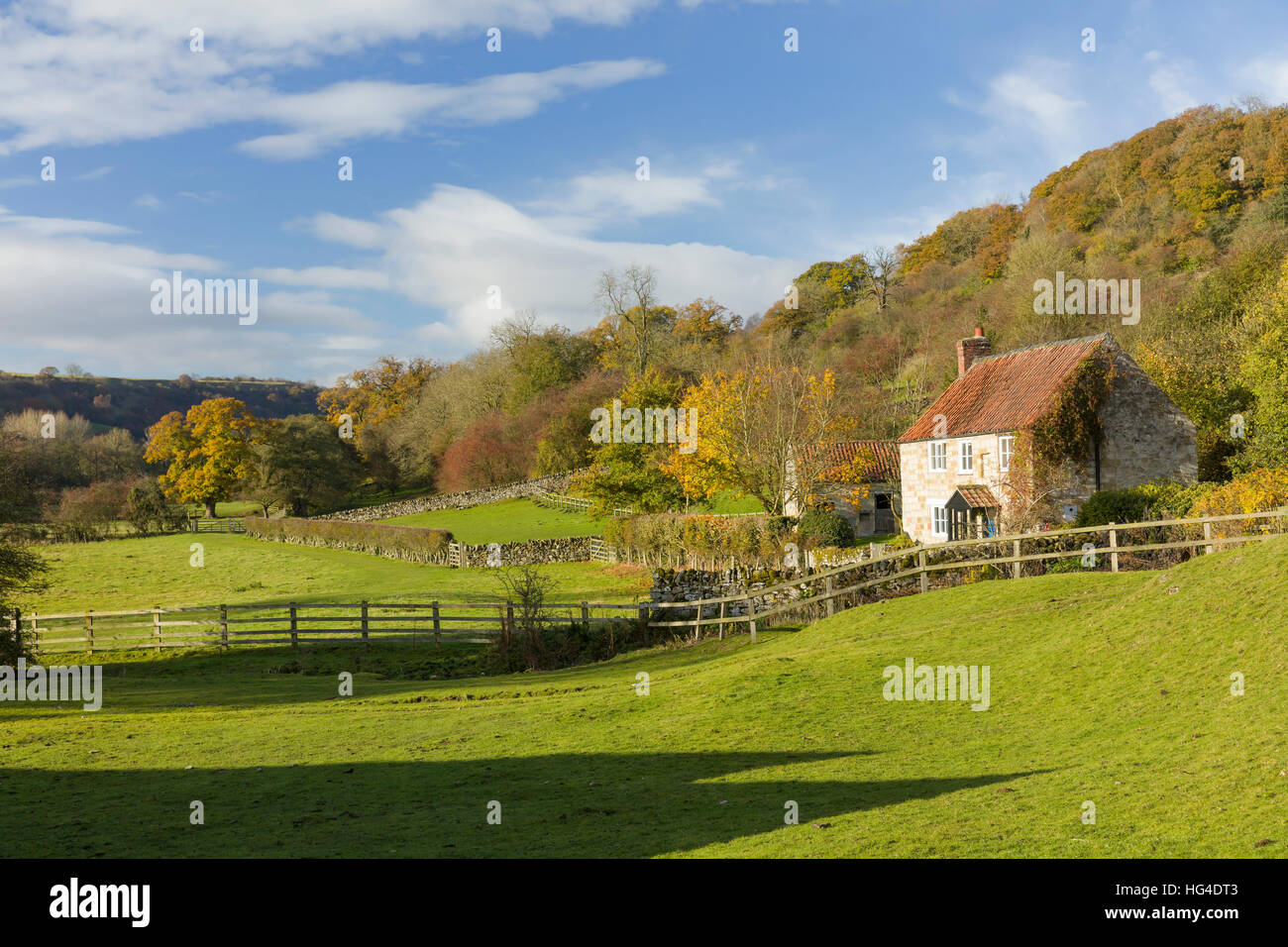 L'automne à l'abbaye de Rievaulx village près de Helmsley dans le Yorkshire du Nord, Yorkshire, Angleterre, Royaume-Uni Banque D'Images