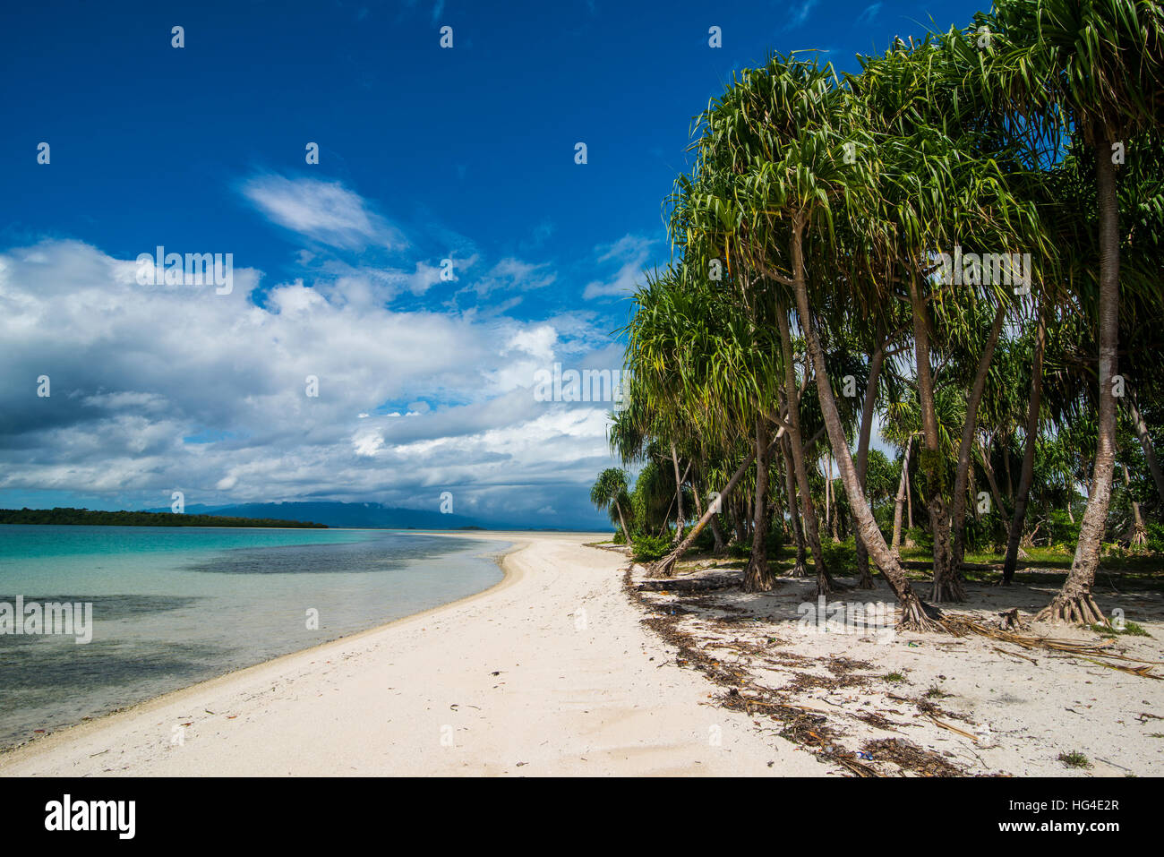 L'eau turquoise et plage de sable blanc, l'Ile Blanche, Buka, Bougainville, en Papouasie-Nouvelle-Guinée, du Pacifique Banque D'Images
