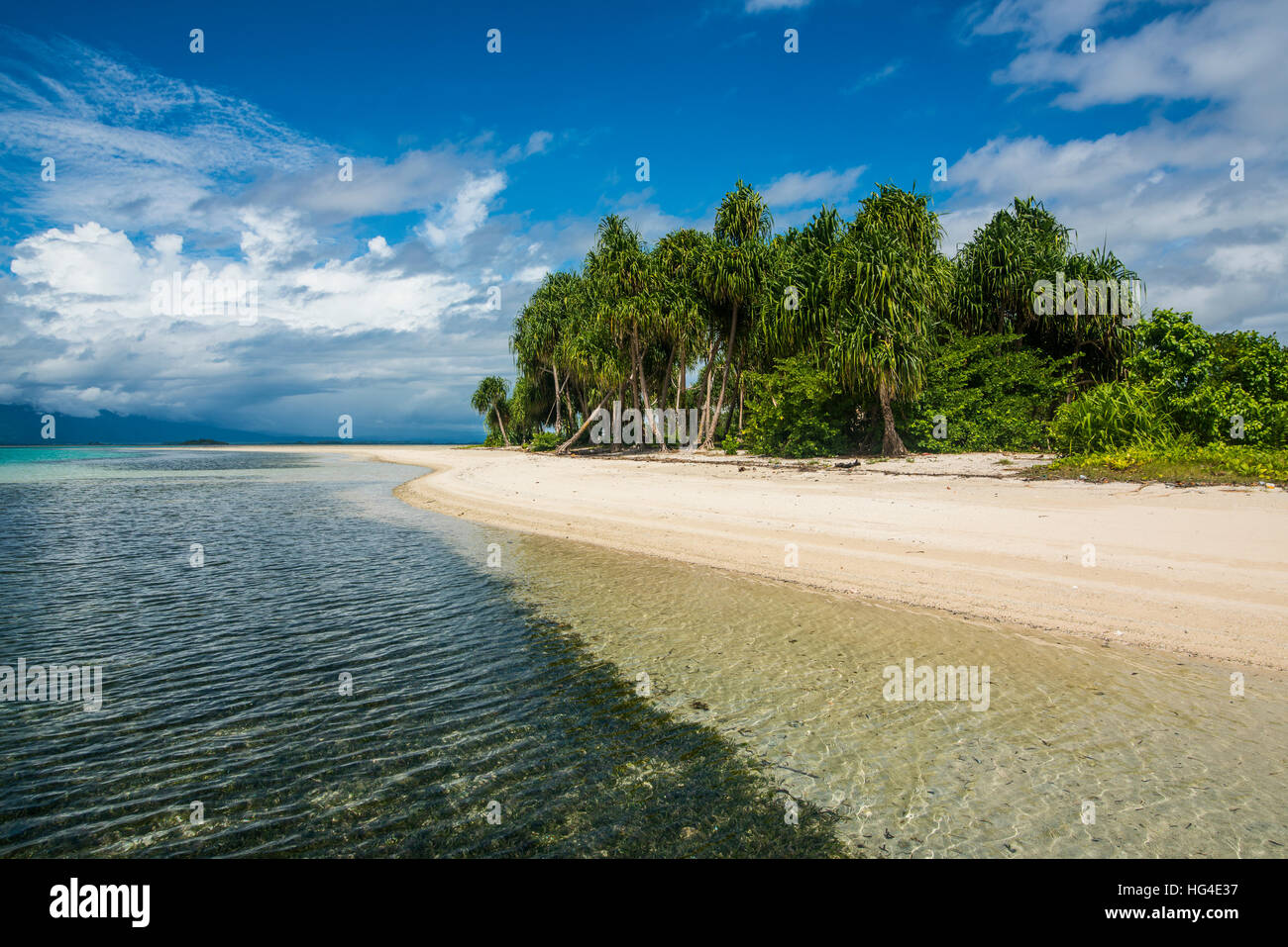 L'eau turquoise et plage de sable blanc, l'Ile Blanche, Buka, Bougainville, en Papouasie-Nouvelle-Guinée, du Pacifique Banque D'Images