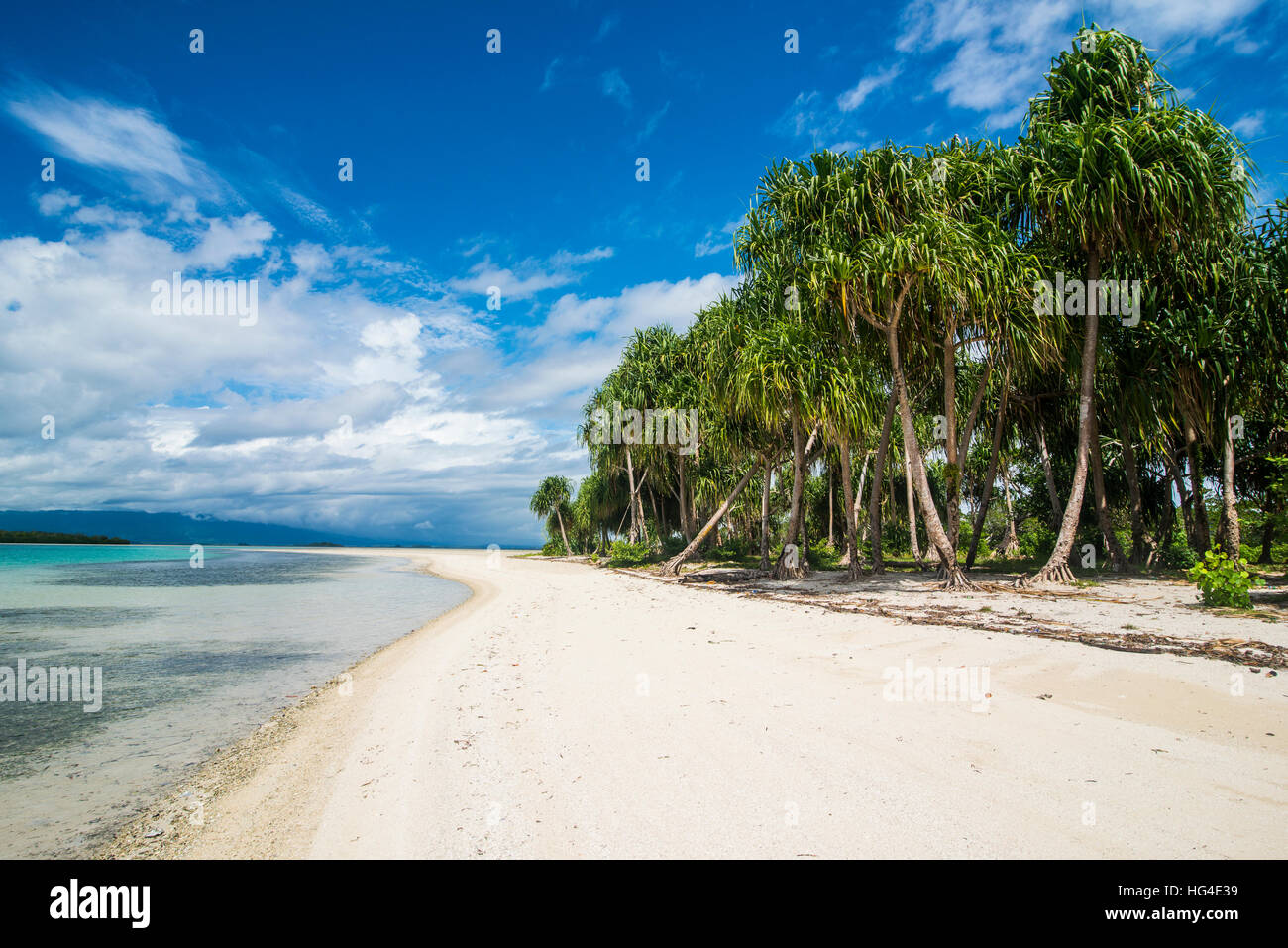 L'eau turquoise et plage de sable blanc, l'Ile Blanche, Buka, Bougainville, en Papouasie-Nouvelle-Guinée, du Pacifique Banque D'Images