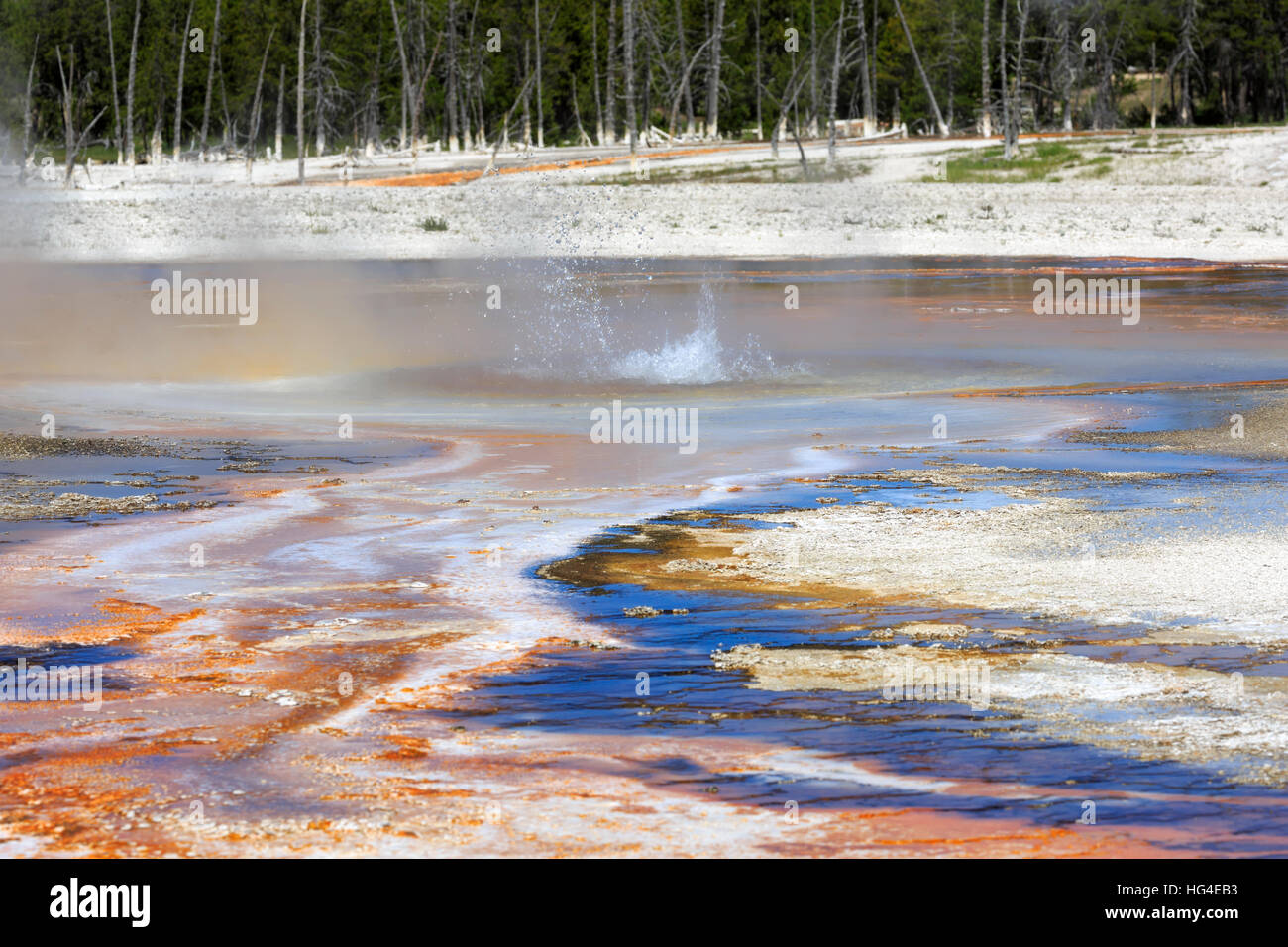 Geysers du bassin de sable noir, Parc National de Yellowstone Banque D'Images