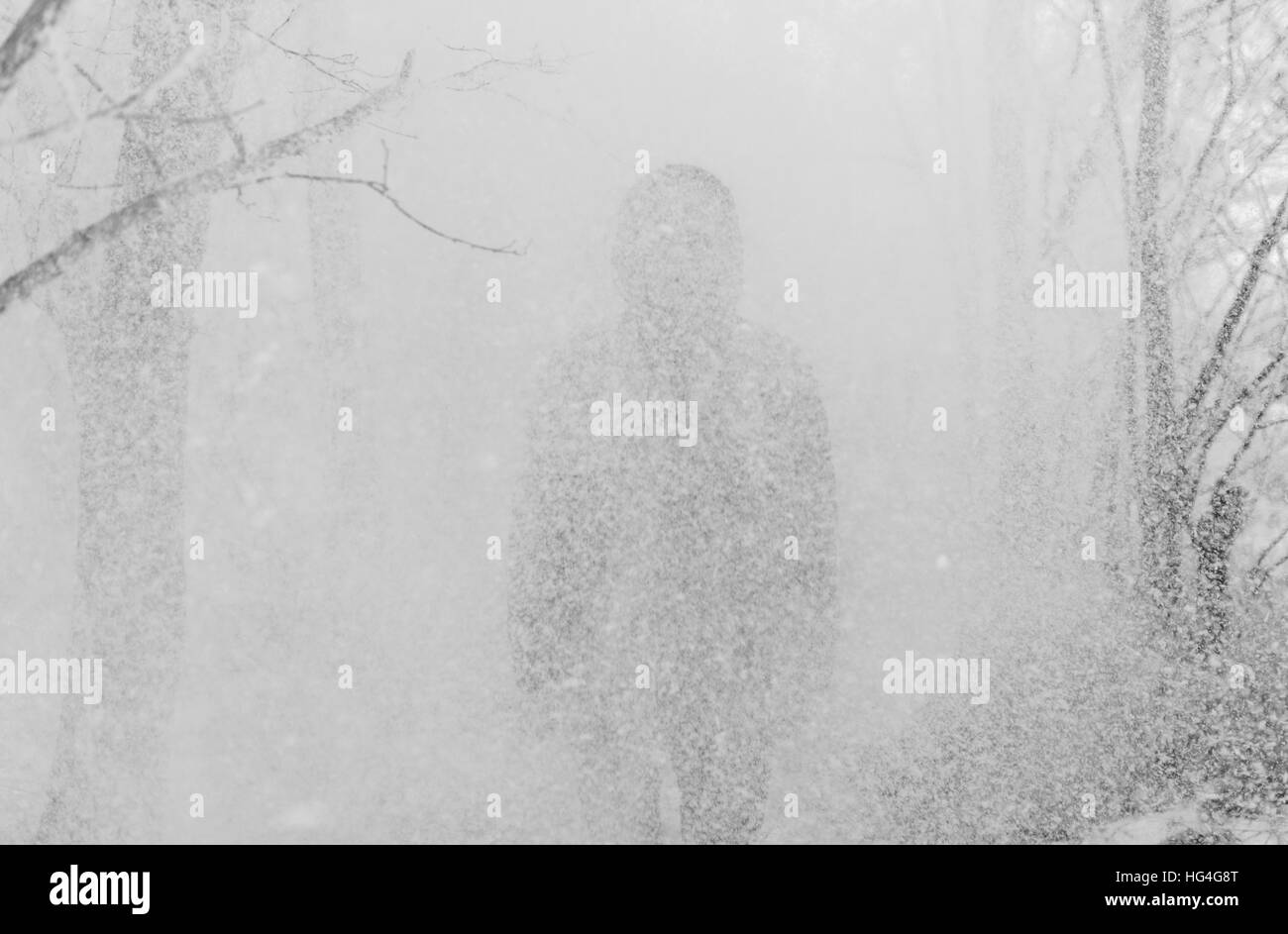 Beau jeune homme debout dans la neige sur fond de forêt enneigée. Banque D'Images Beau jeune homme debout dans la neige sur fond de forêt enneigée. Banque D'Images