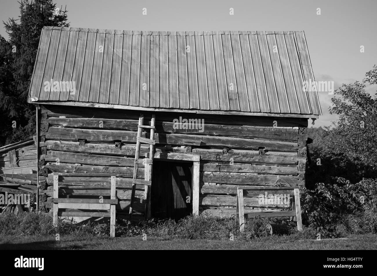 Cette image en noir et blanc d'une cabane en bois avec une porte et toit en tôle montrent le côté long de l'immeuble. Banque D'Images