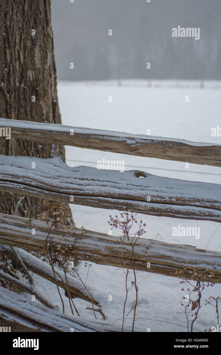 Fond d'hiver d'un rail split clôture de cèdre d'une pincée de neige et de tronc de l'arbre de près. Banque D'Images