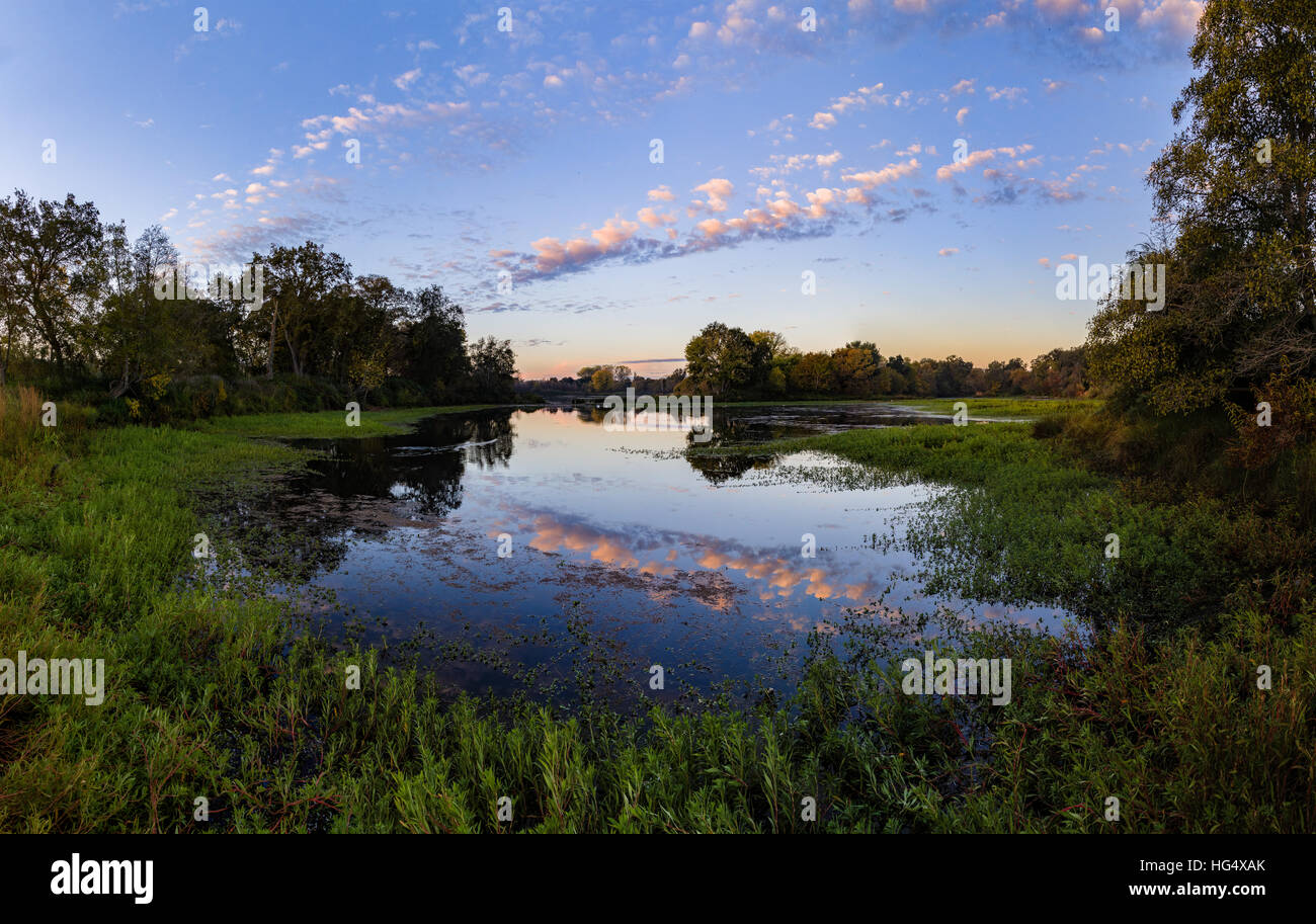 Le lever du soleil, American River,California,Sacramento Banque D'Images