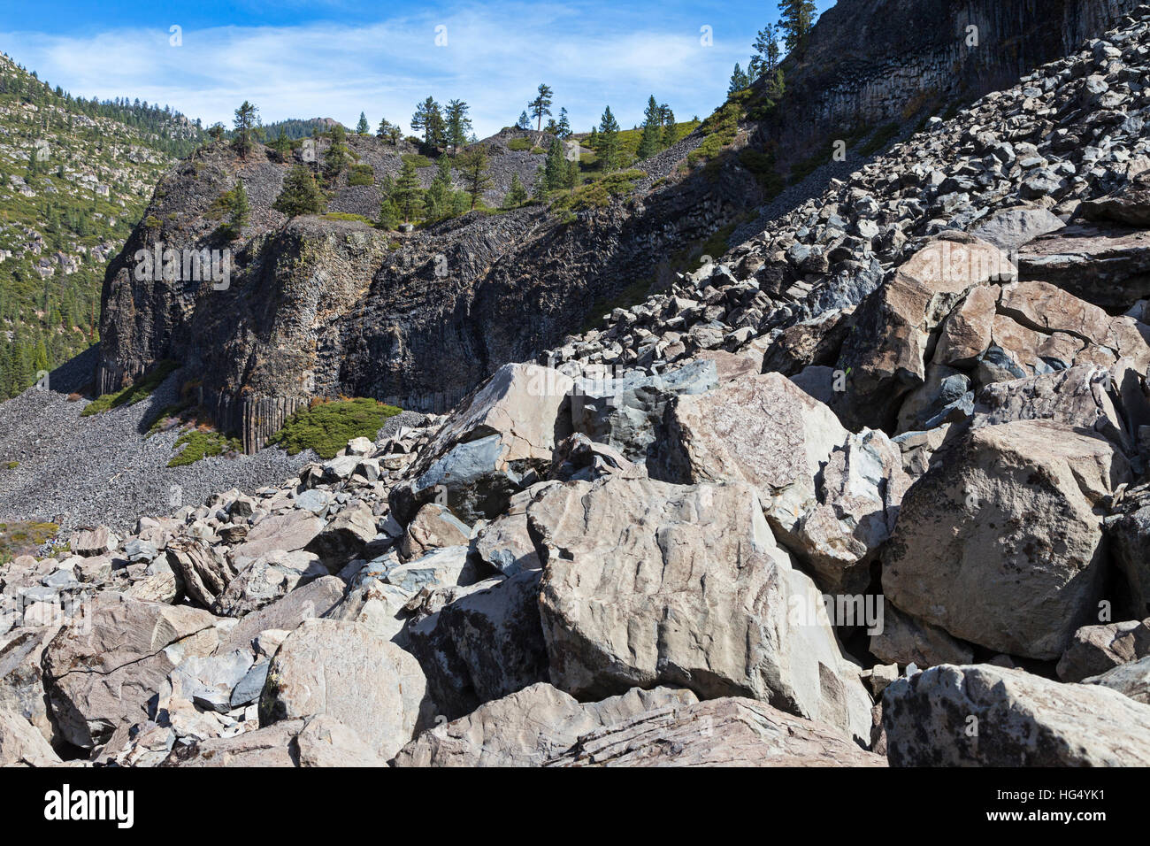 Les colonnes basaltiques de talus et les colonnes de la Tuolumne County, géants de Californie Banque D'Images