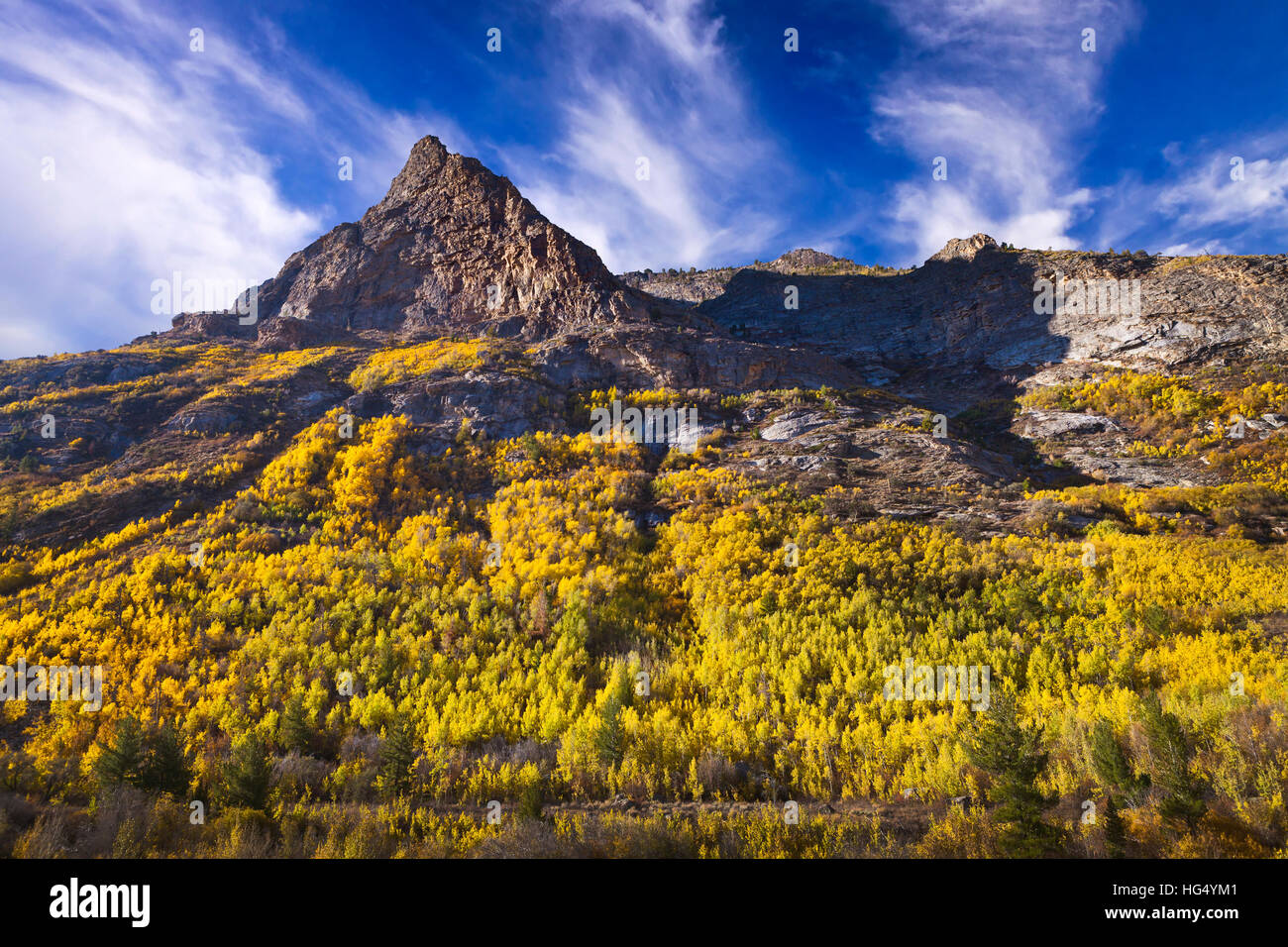 Lamoille Canyon est la plus grande vallée dans le rubis, situés dans la partie centrale de l'Elko County dans le nord-est de l'état de Banque D'Images