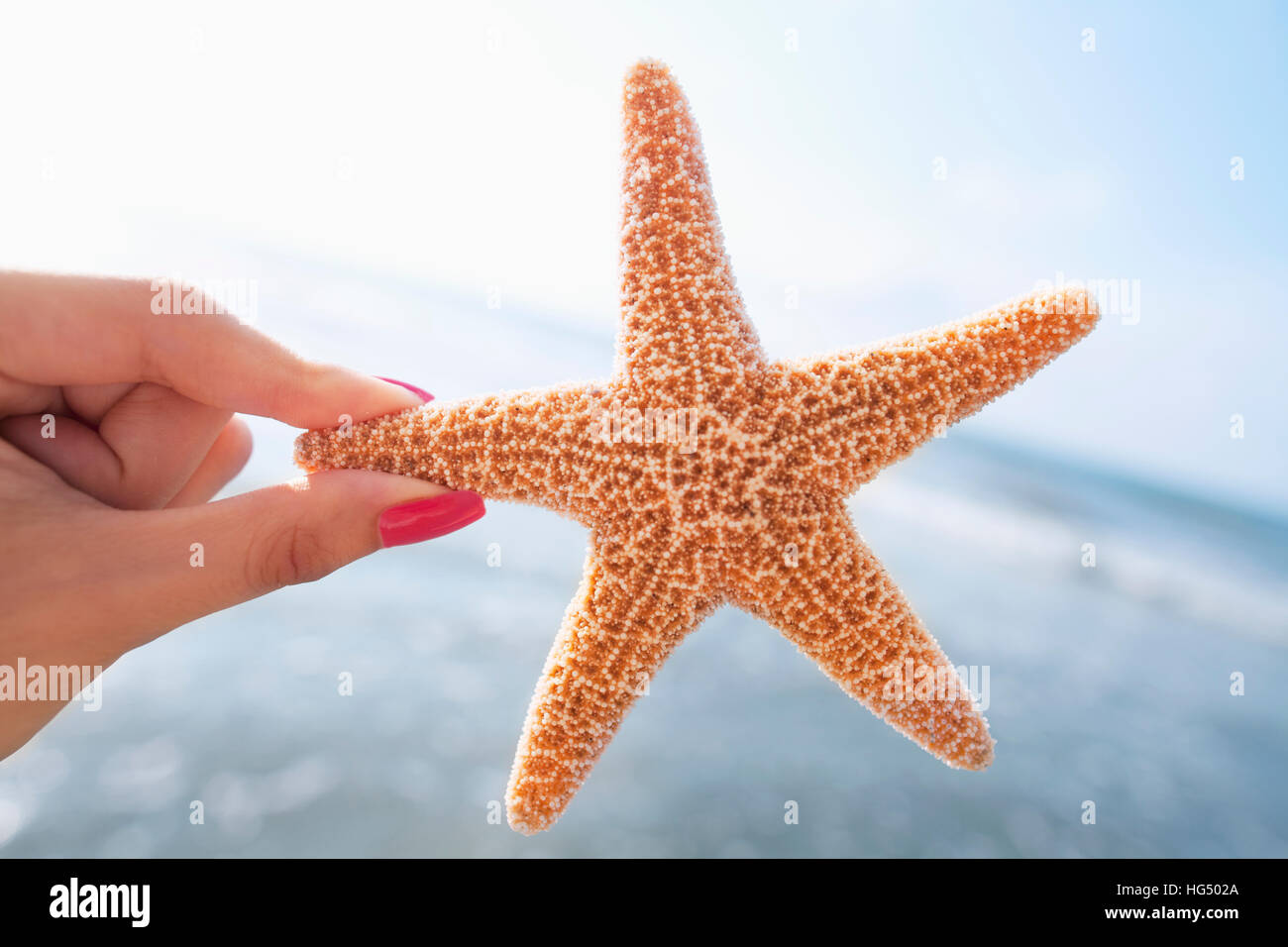 Woman holding starfish at the beach Banque D'Images
