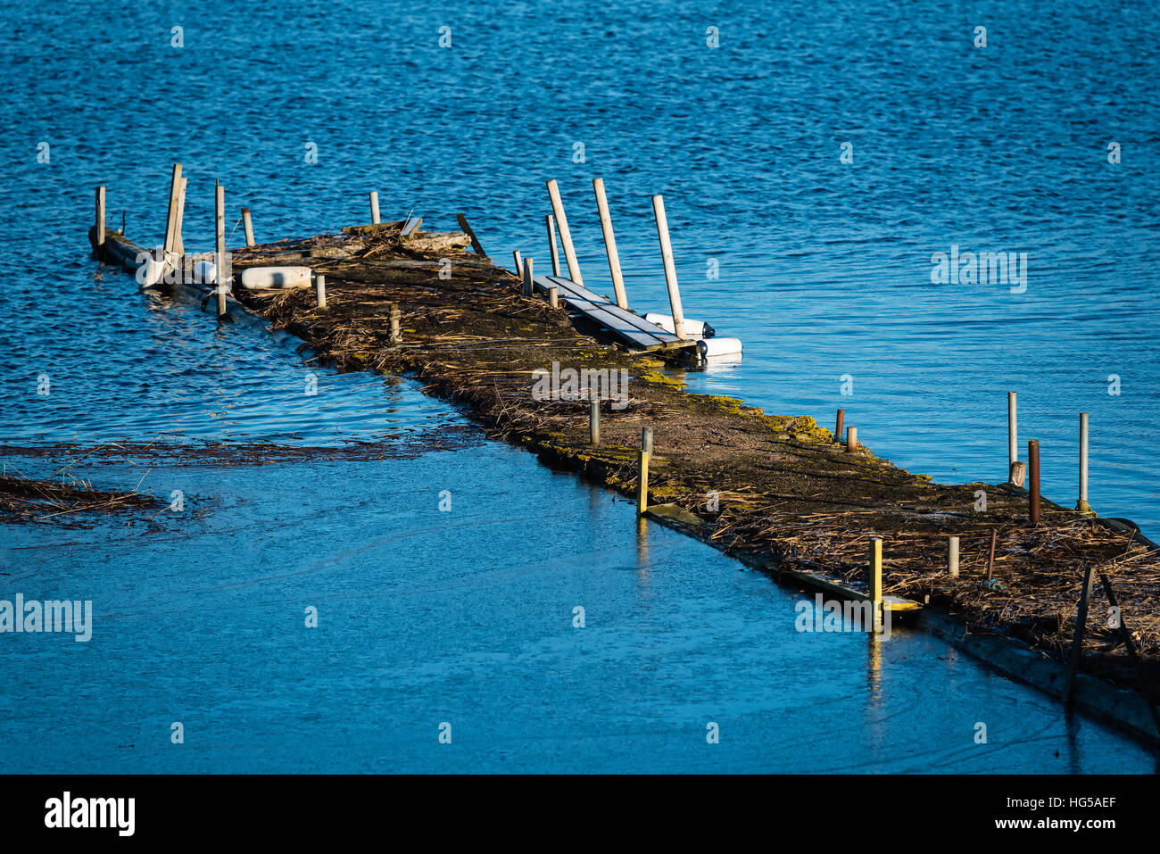 Jetée en béton couvert d'algue marine et presque au niveau de l'eau. Banque D'Images