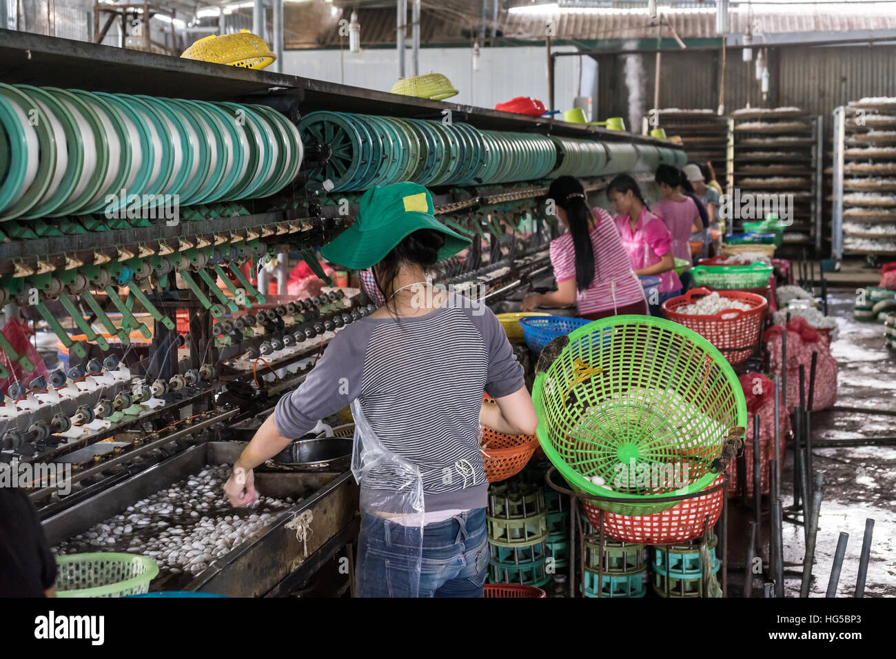 Les travailleurs de l'usine de soie Cocons de trempage pour libérer le fil de soie, Banque D'Images