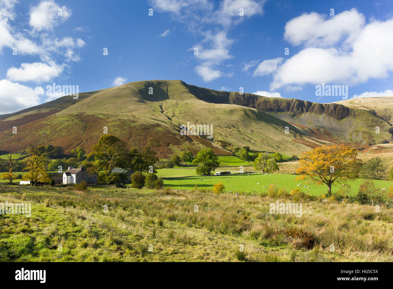 Les Fells Cap Sud, le Yorkshire Dales et frontière de Cumbria, Angleterre, Royaume-Uni Banque D'Images