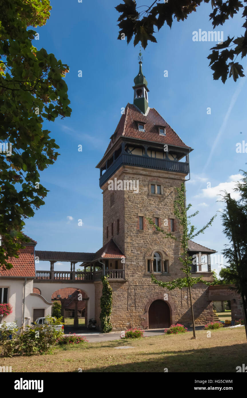 Winehouse, Pfalz, Allemagne zone Vin Banque D'Images