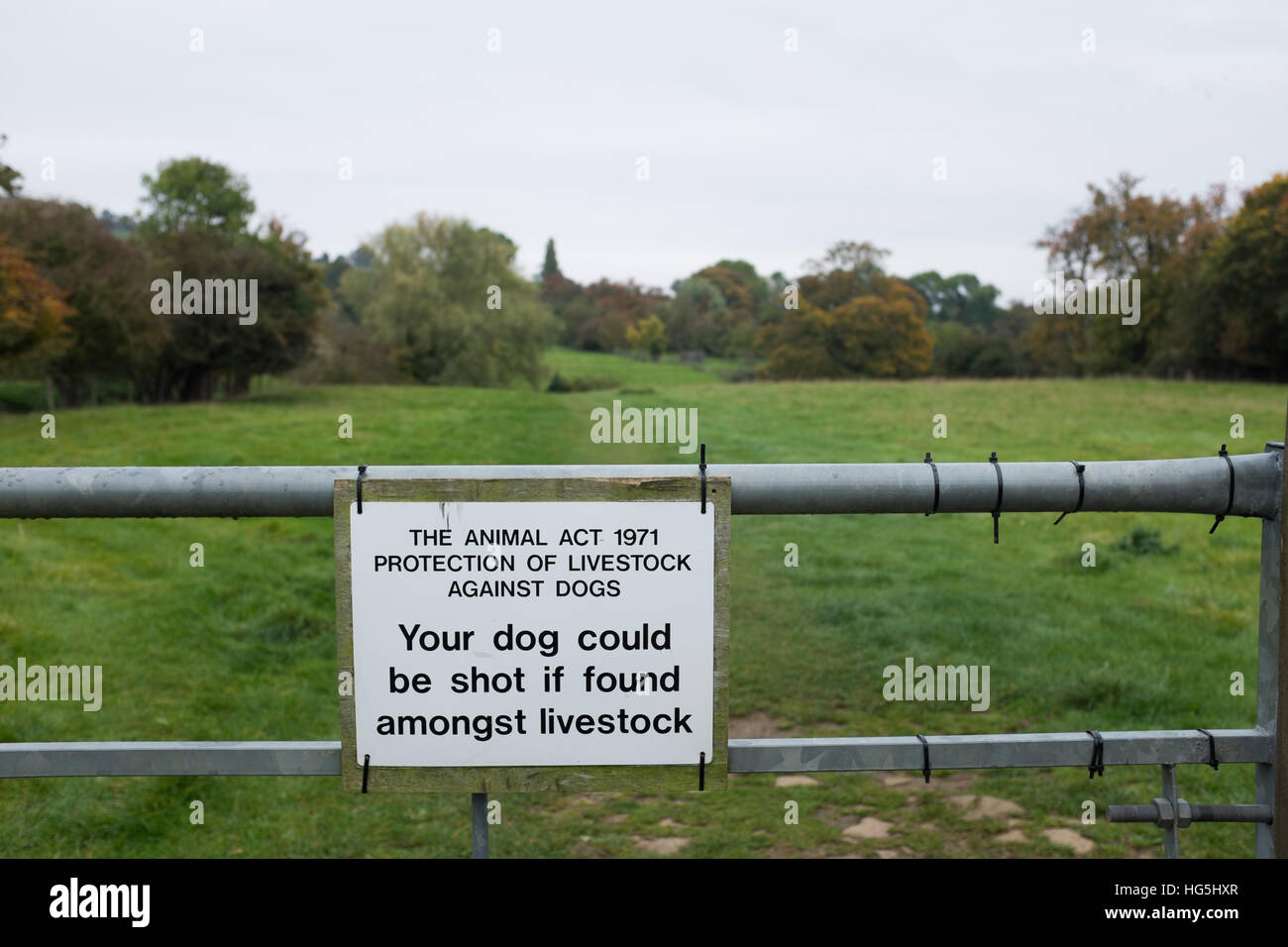 Un signe indiquant que les chiens pourraient être tiré si parmi le bétail sur les Cotswolds, Broadway, Angleterre. Banque D'Images