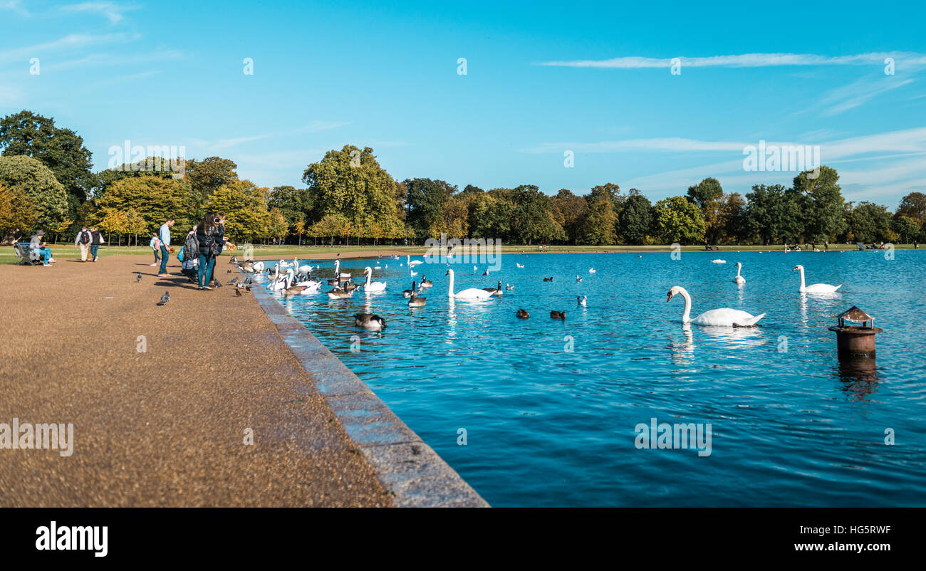 Londres, Royaume-Uni - 17 octobre 2016 : Les gens de visiter les jardins de Kensington à l'extérieur de Kensington Palace à Londres, Angleterre Banque D'Images