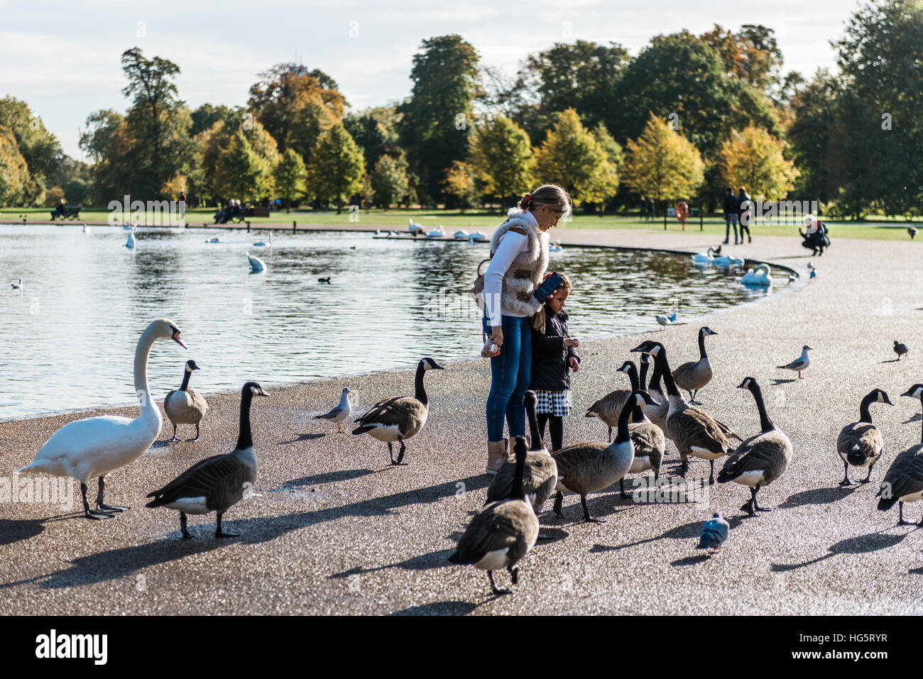 Londres, Royaume-Uni - 17 octobre 2016 : Les gens sont nourrir les oiseaux dans les jardins de Kensington à l'extérieur de Kensington Palace à Londres, Angleterre Banque D'Images