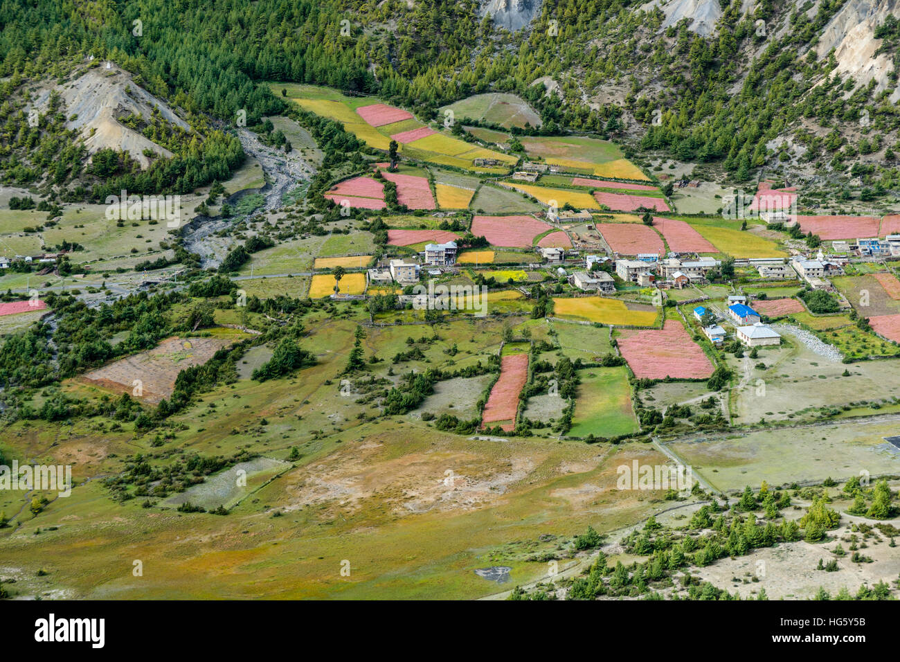 ngawal-manang-banque-de-photographies-et-d-images-haute-r-solution