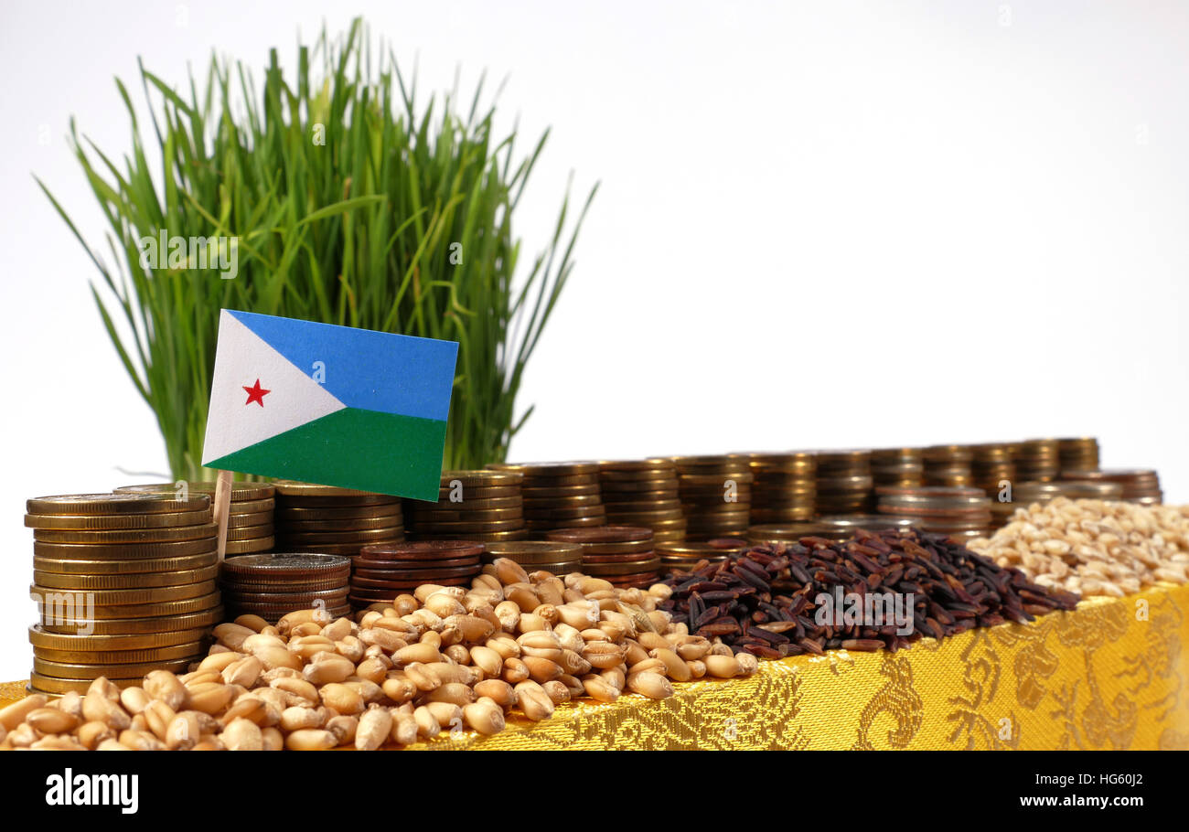 De brandir le drapeau de Djibouti avec pile de pièces en argent et les tas de blé et de graines de riz Banque D'Images