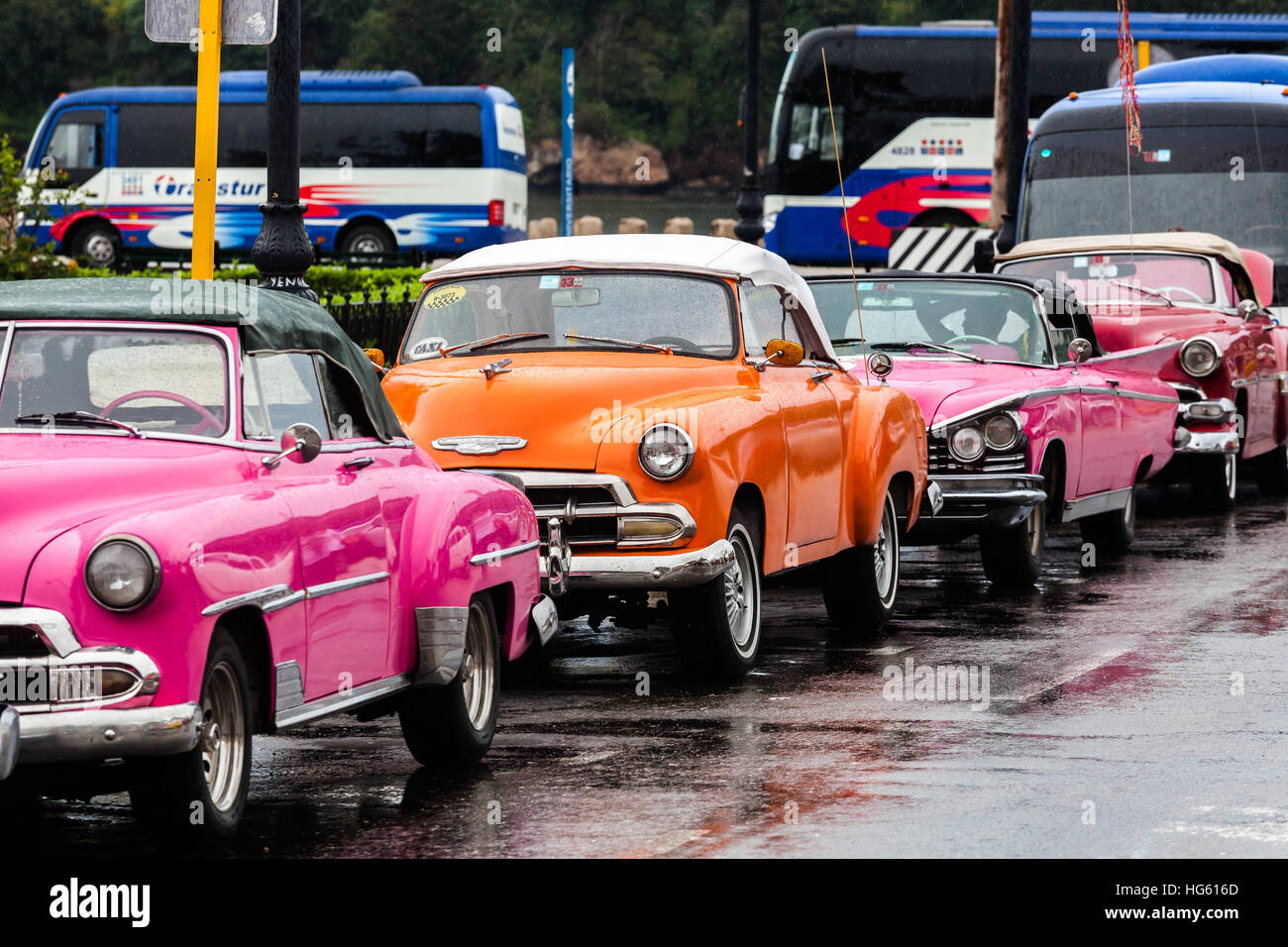 La HAVANE, CUBA, Amérique 23.01.2016 automobiles sous la pluie. Taxi cubain typique Banque D'Images