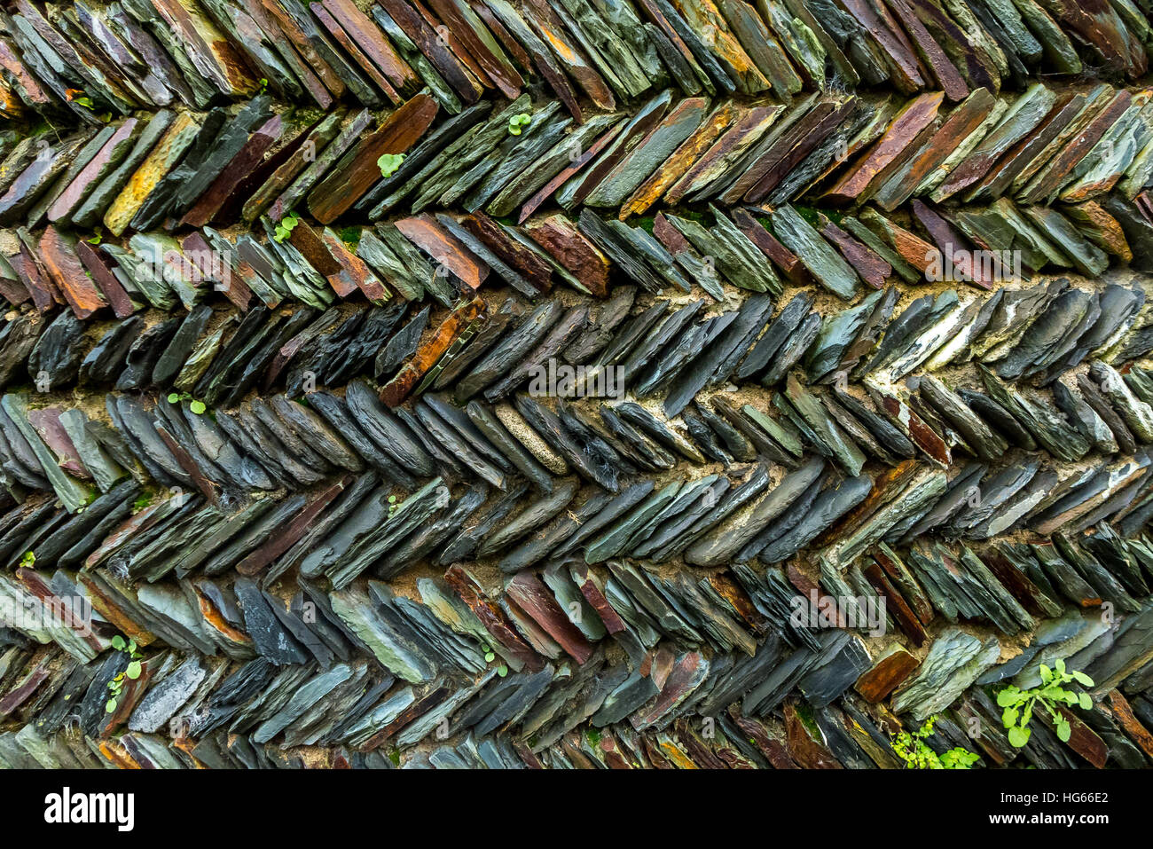 Ardoise traditionnel cornouaillais-mur construit remplie de couleur Banque D'Images