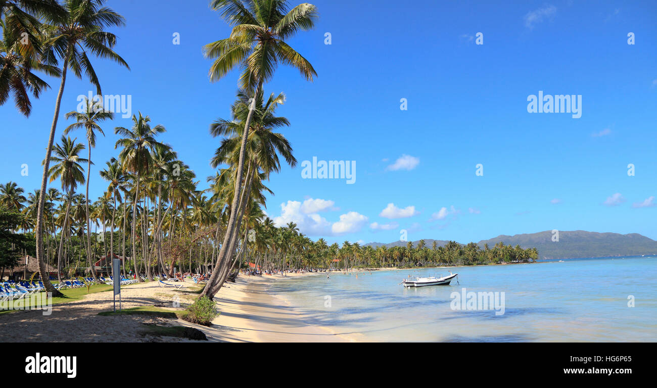 Plage tropicale avec palmiers et chaises longues bleu et l'herbe, de l'Océan Atlantique Banque D'Images