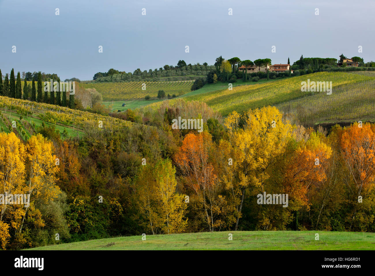 Couleurs d'automne et la campagne près de San Gimignano, Toscane, Italie Banque D'Images