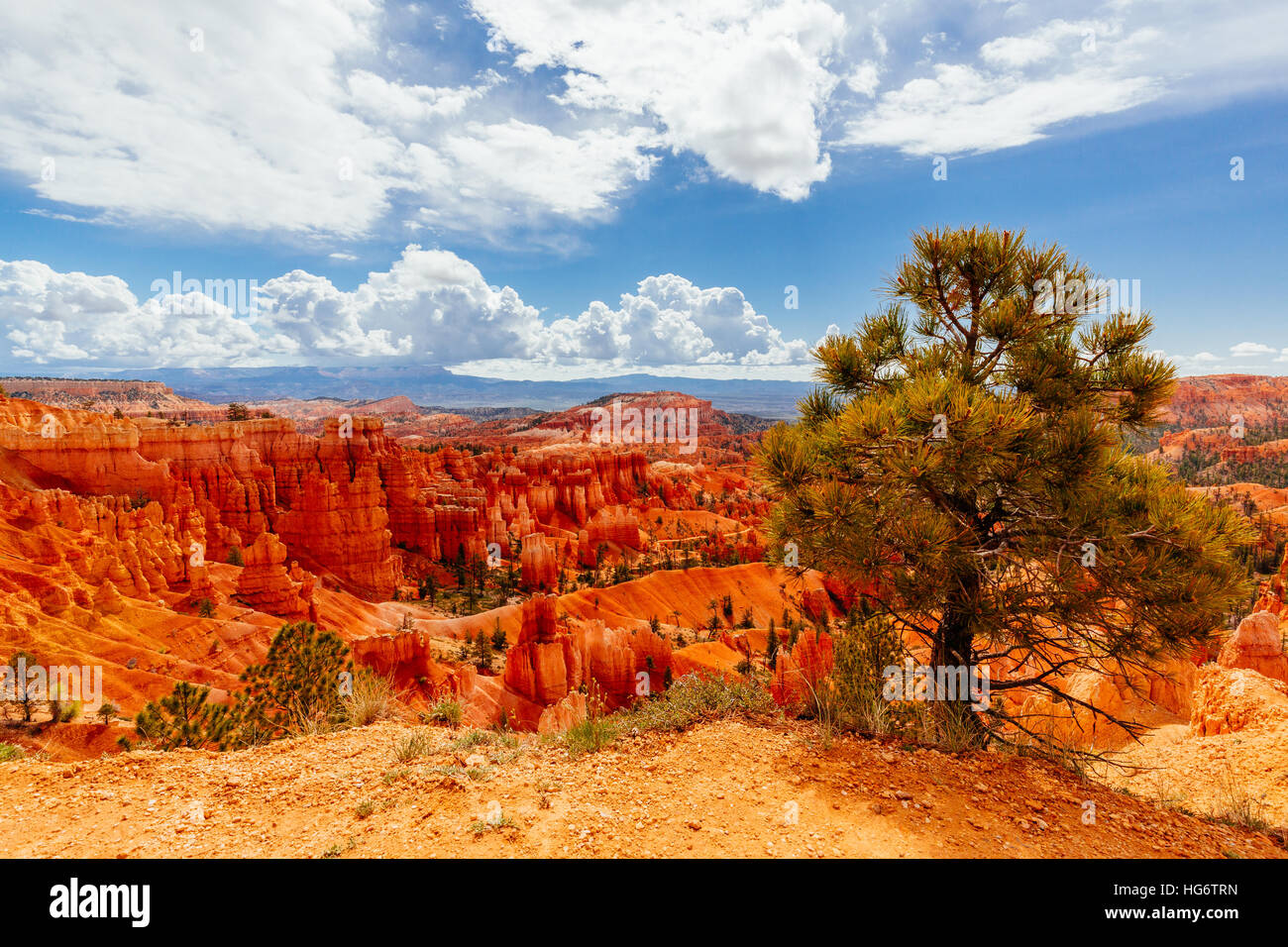 Bryce Canyon est une collection d'amphithéâtres naturels de côté du plateau Paunsaugunt. Bryce est distinctif en raison de structures géologiques appelé hoodo Banque D'Images