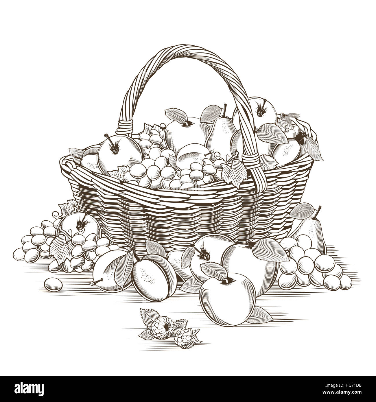 Une corbeille de fruits dans le style gravure sur bois Banque D'Images