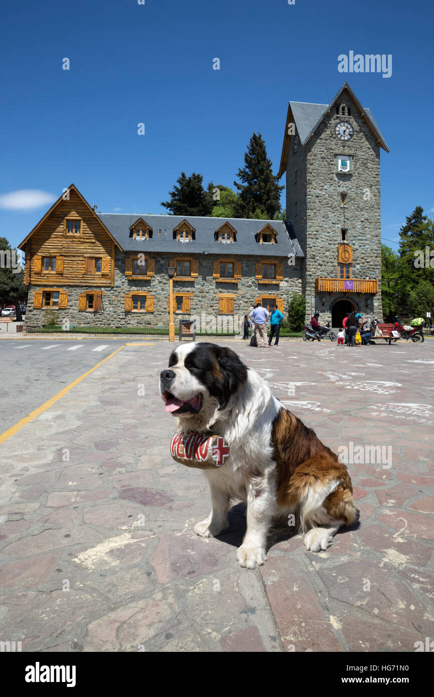 Pedro le chien Saint Bernard à l'extérieur du Centro Civico, Bariloche, Nahuel Huapi National Park, Lake District, l'Argentine Banque D'Images