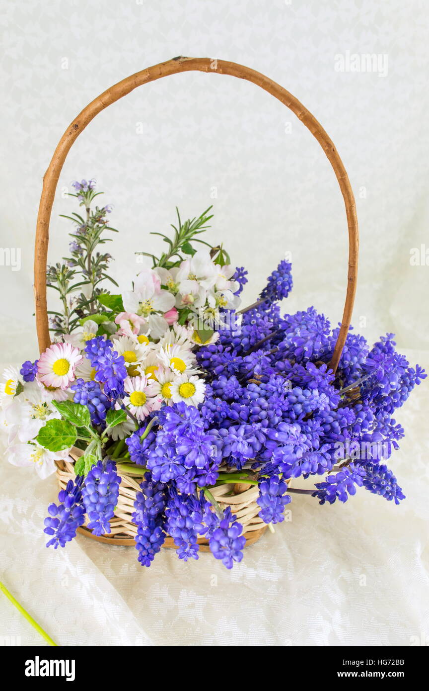 Bluebell flowers bouquet dans un panier en osier Banque D'Images