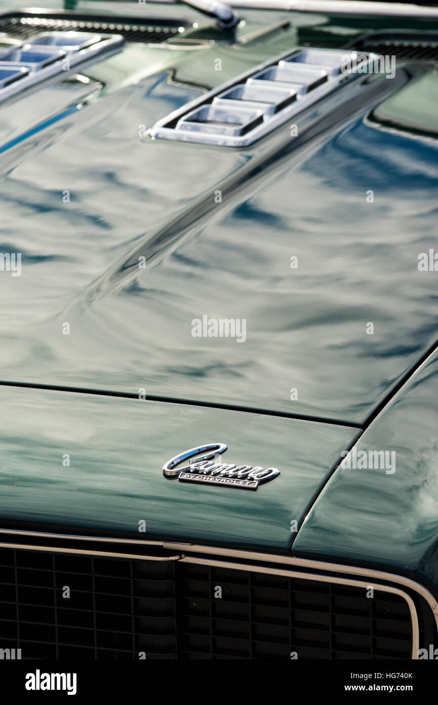 1968 Chevrolet Camaro SS d'un insigne sur le capot. Classic American car Banque D'Images