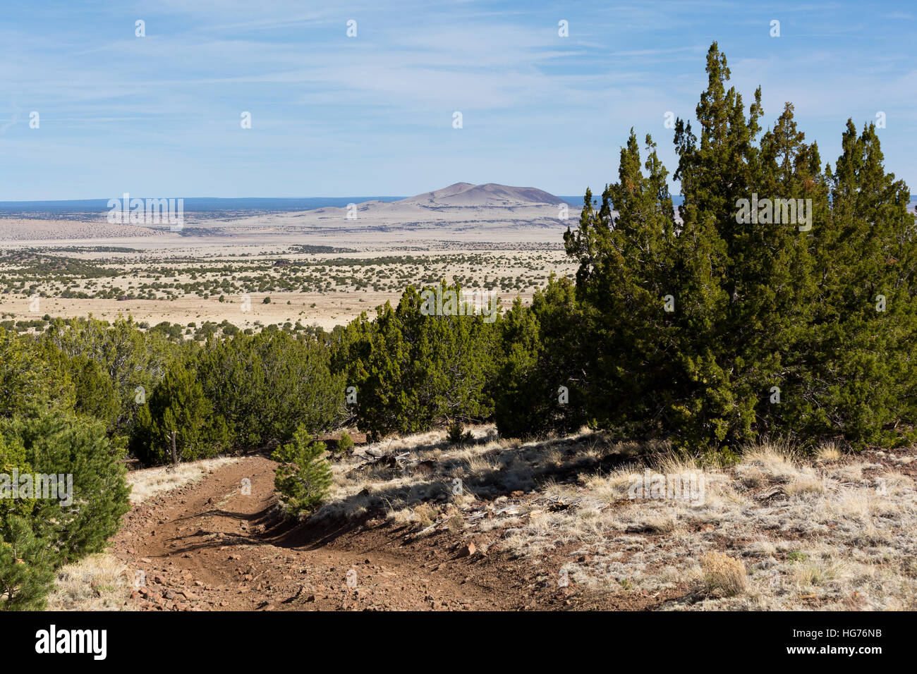 Une route de terre laissant tomber vers le bas dans une prairie du désert dans le nord de l'Arizona. Coconino National Forest, Arizona Banque D'Images