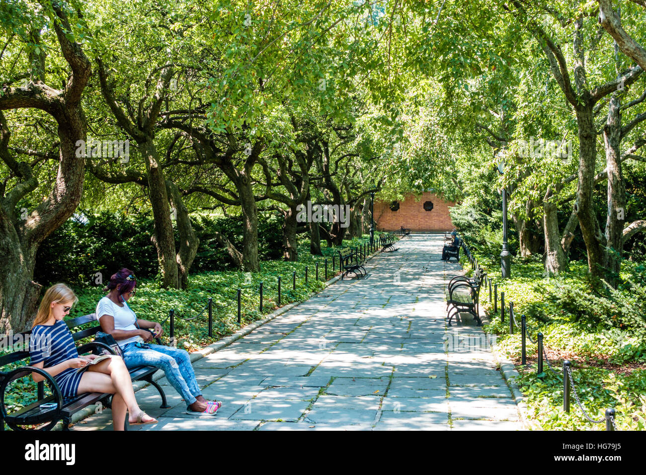 New York City, NY NYC Manhattan, Spanish Harlem, Central Park, urbain, chemin bordé d'arbres, banc, adultes noirs, femme femme, assis, NY160723046 Banque D'Images