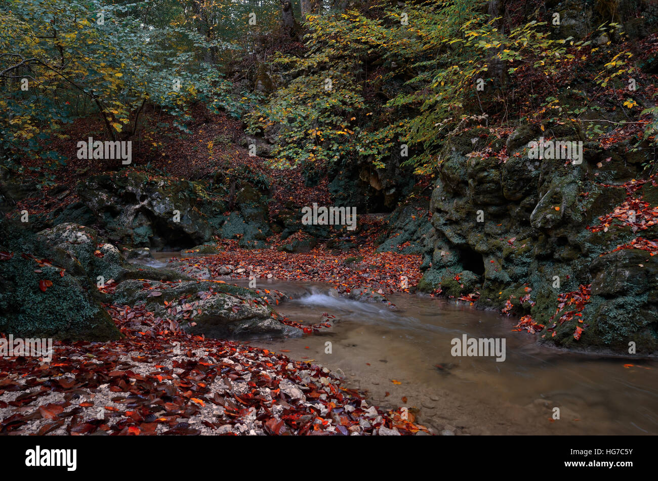 L'automne dans la vallée d'un ruisseau de montagne à l'automne. Russe, Mishoko Caucase de l'Ouest , Rivière Banque D'Images