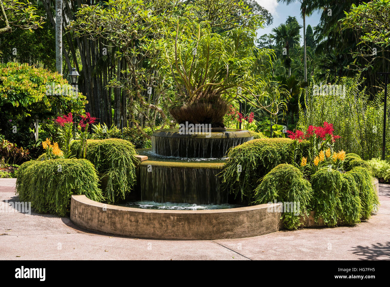 La National Orchid Garden à Singapour Botanic Gardens Banque D'Images