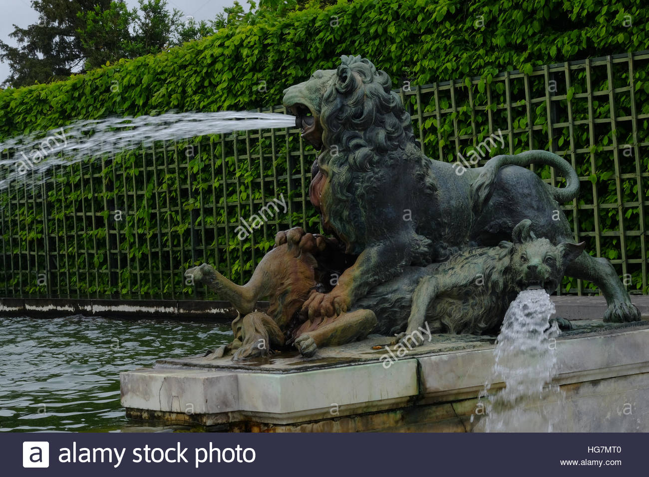 Verse De Leau Dune Fontaine En Forme Dun Lion Un Chien De