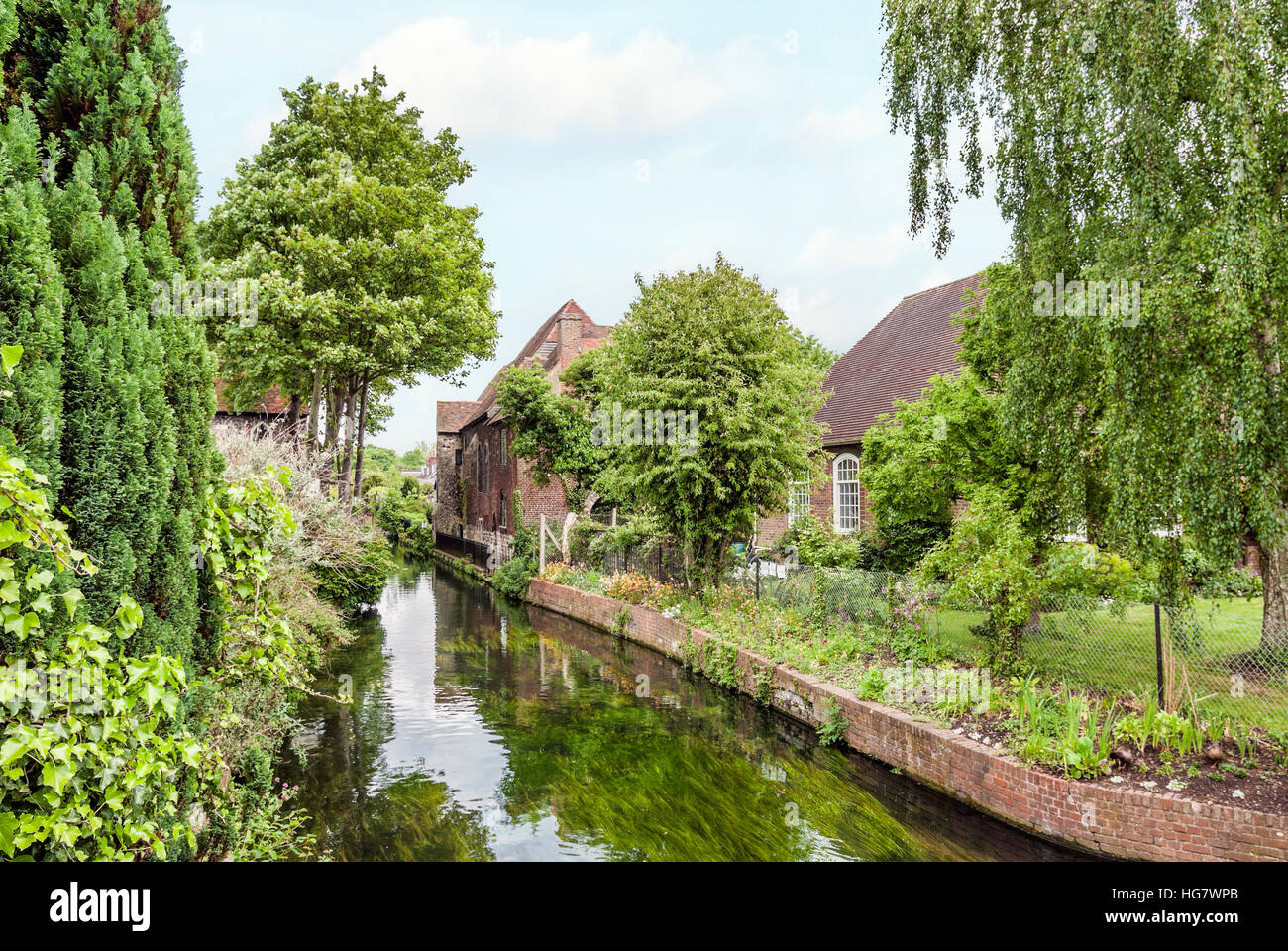 Rivière Stour dans le centre-ville historique de Canterbury, Kent, Angleterre Banque D'Images