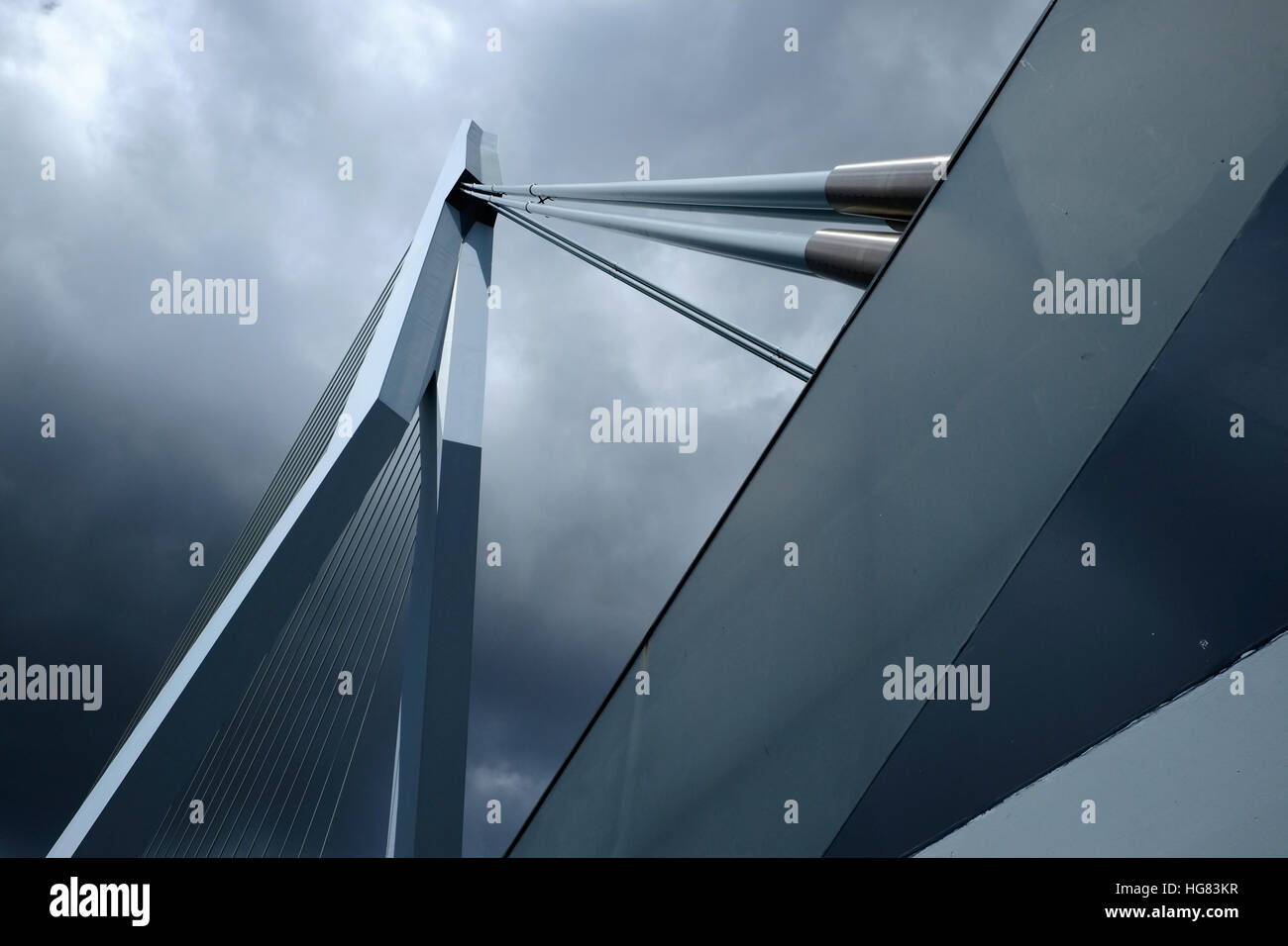 Erasmusbrug à Rotterdam Vue de dessous - 2 Banque D'Images