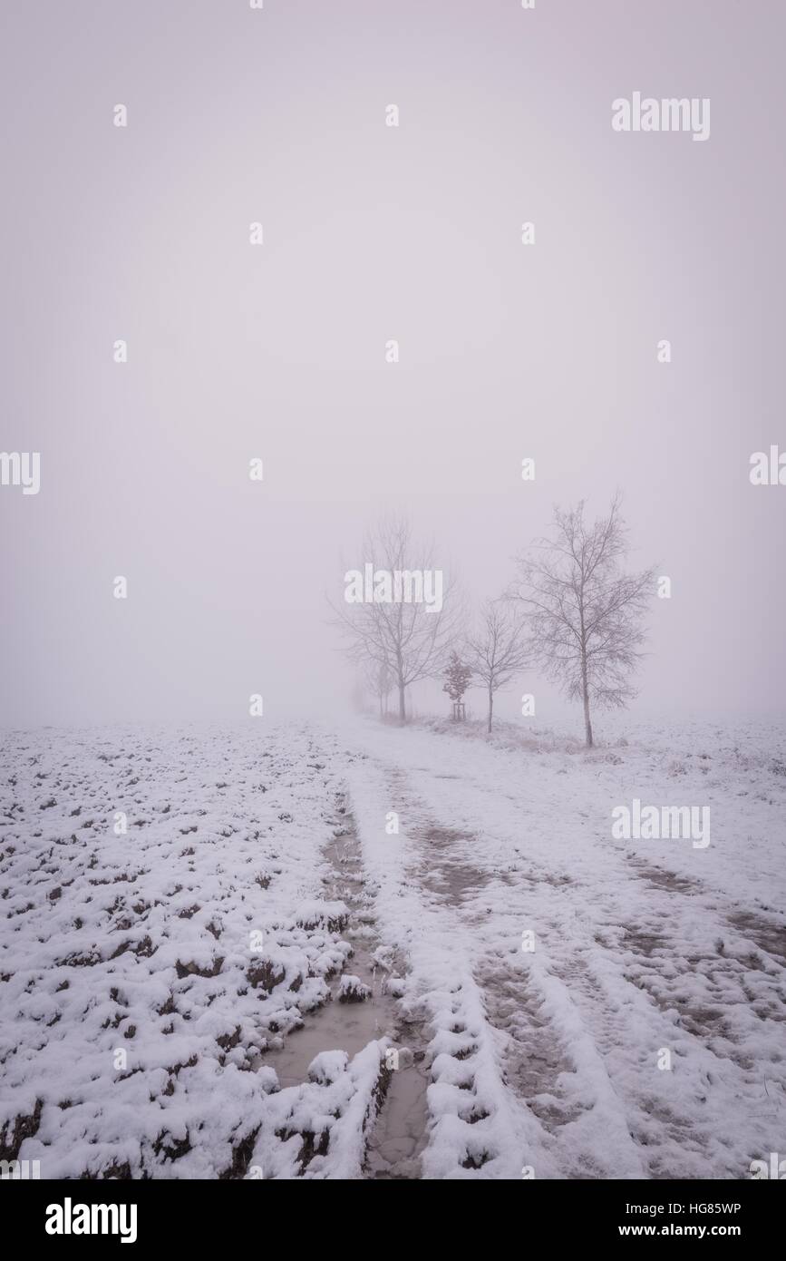 Photo verticale de paysage d'hiver avec de lourdes matin brouillard. Peu d'arbres sont visibles à côté de broken road ou sentier. La neige et la glace est sur le terrain. Je ciel Banque D'Images