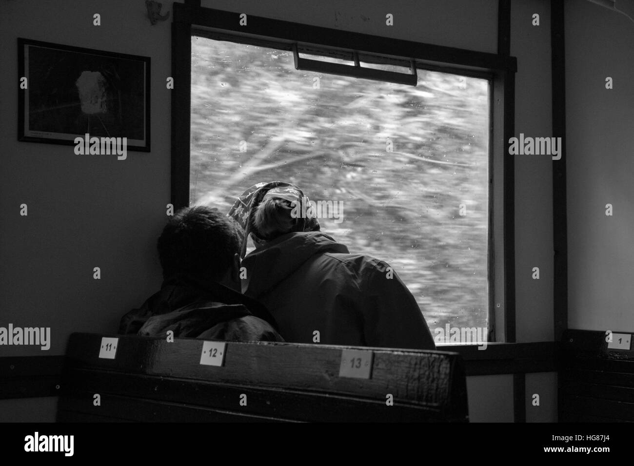 Quel beau couple à la recherche d'une fenêtre dans un train Banque D'Images