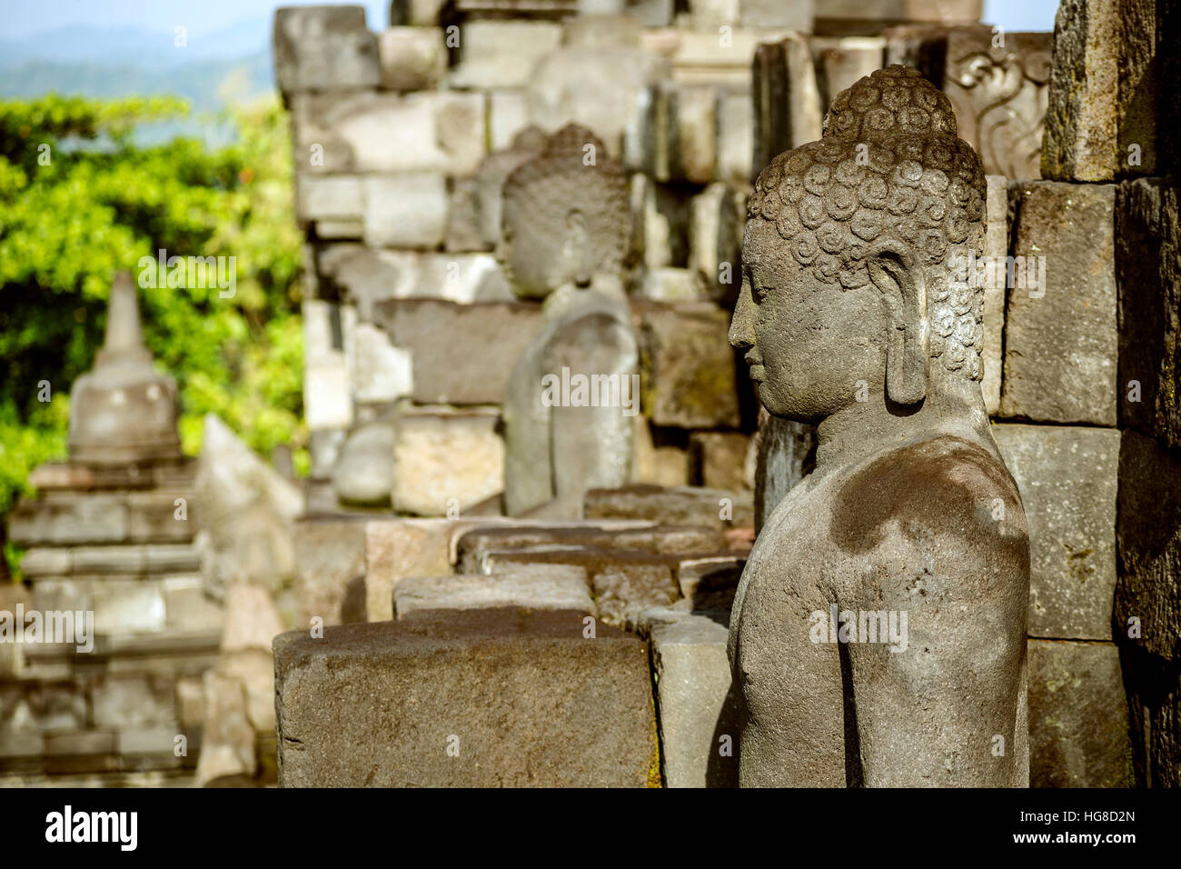 Statues de Bouddha au temple de Prambanan Banque D'Images