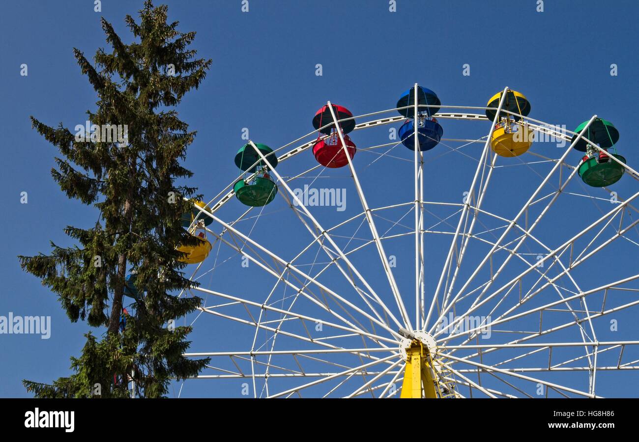 Grande roue et un arbre dans le parc de loisirs Banque D'Images