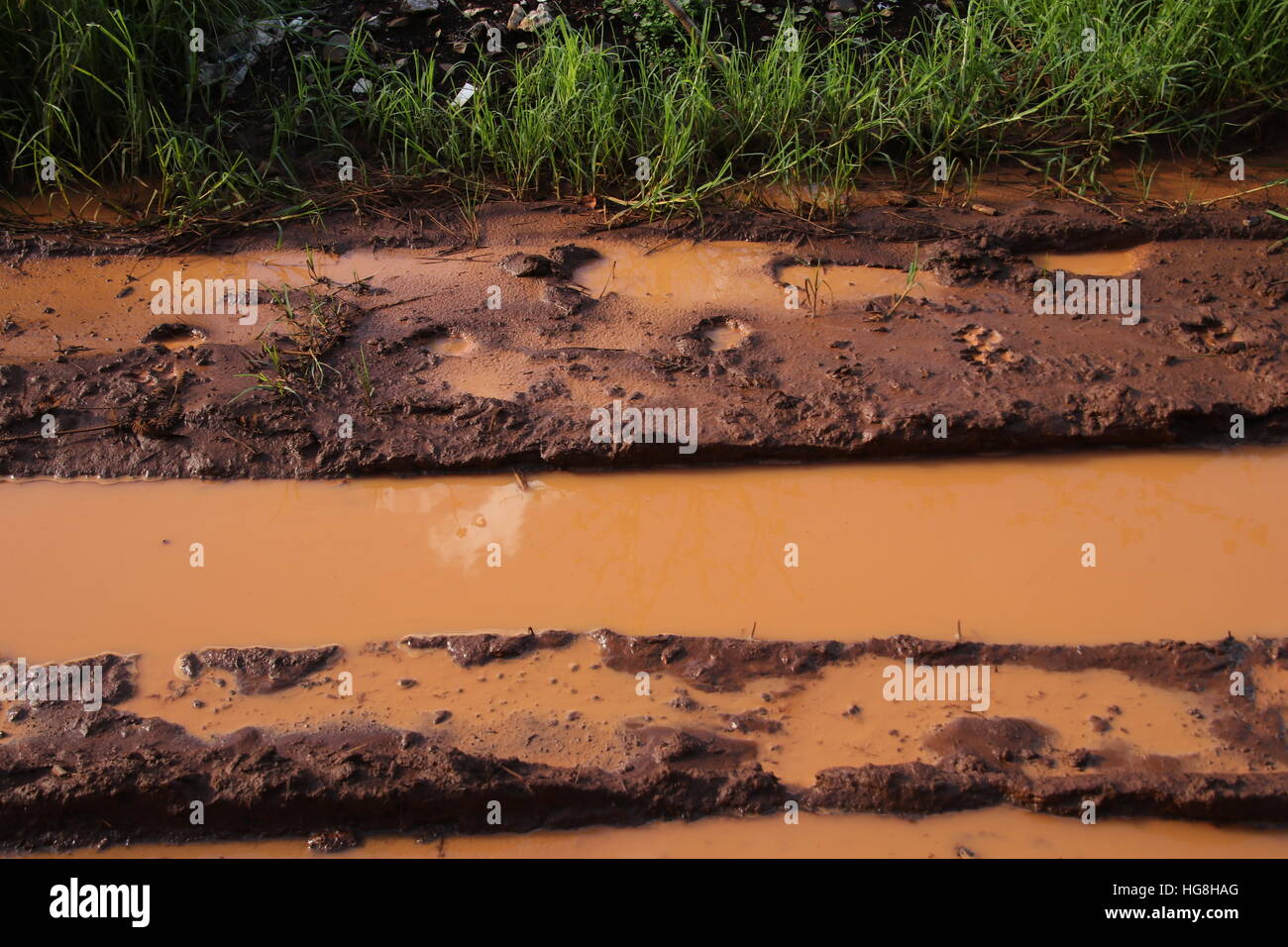 Route de terre inondée Banque D'Images