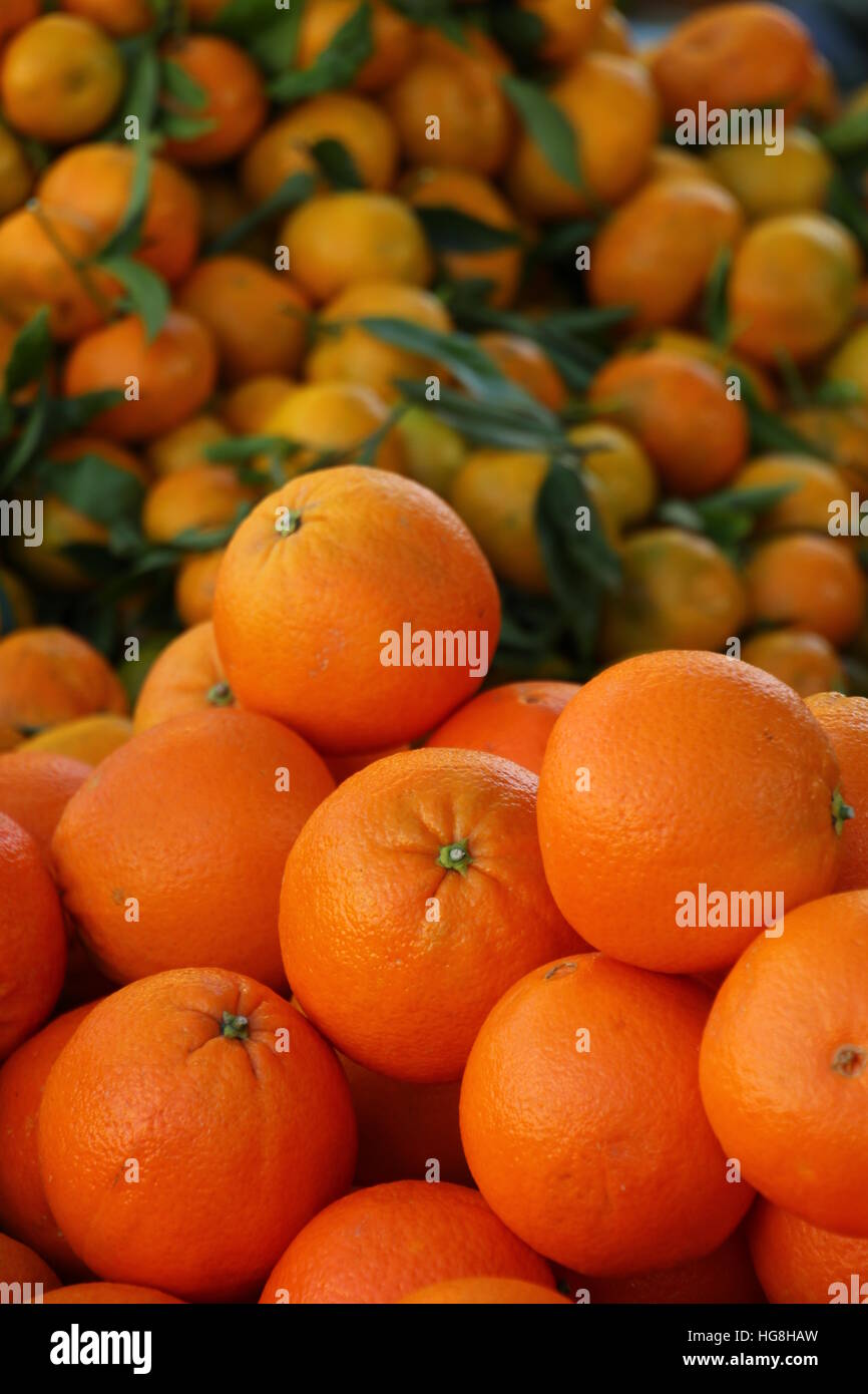 Orange et mandarine Banque D'Images