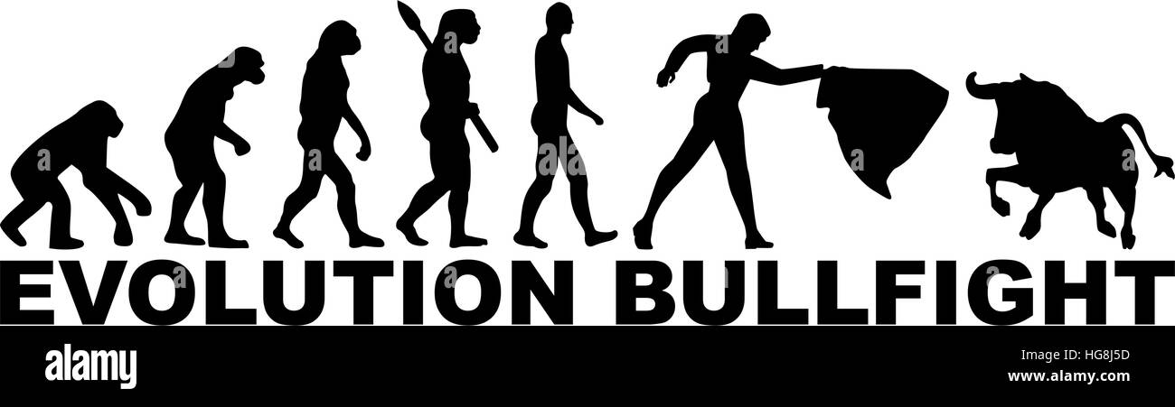 Évolution corrida Illustration de Vecteur