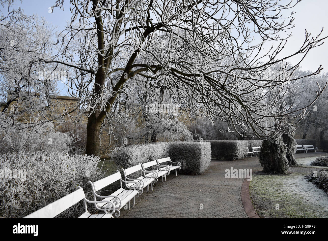 Scène d'hiver sur la colline de Petřín à Prague, le jour de l'an 2017. Banque D'Images